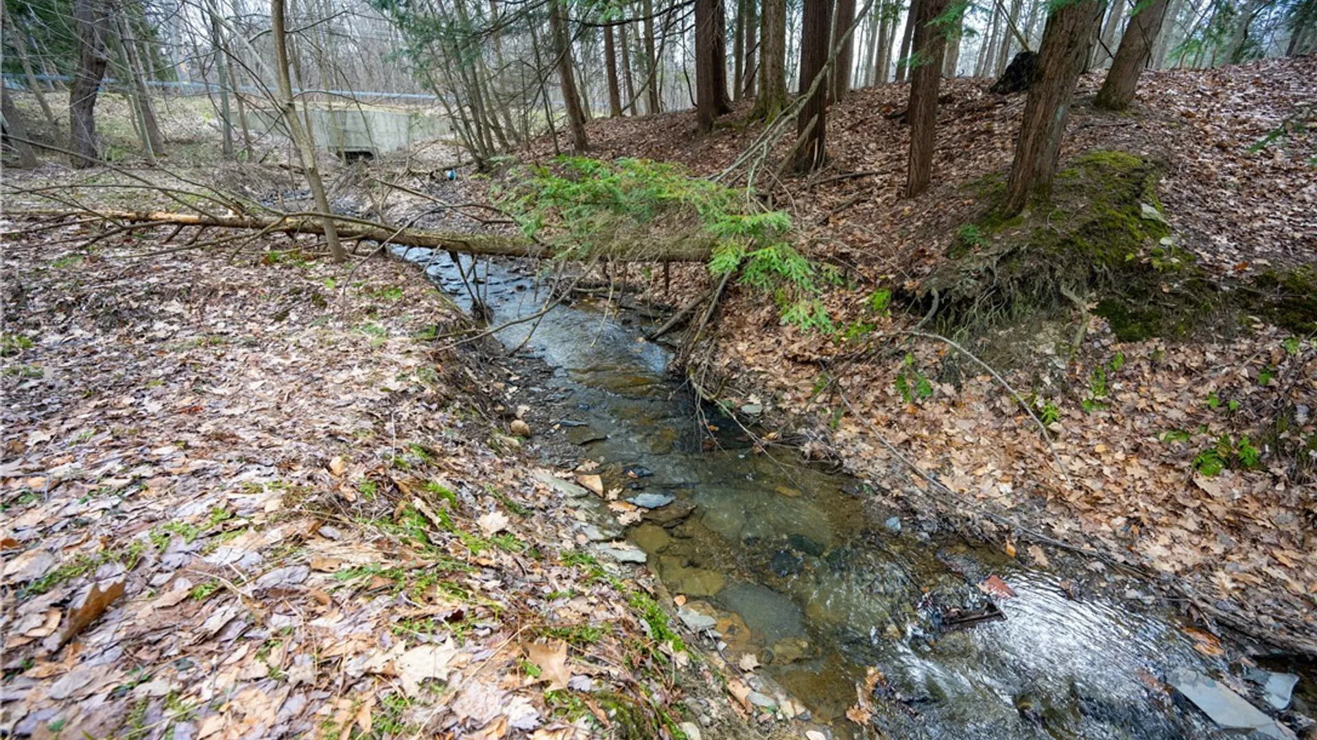Property at 8988 Jennings Road, Eden, NY 14057 10