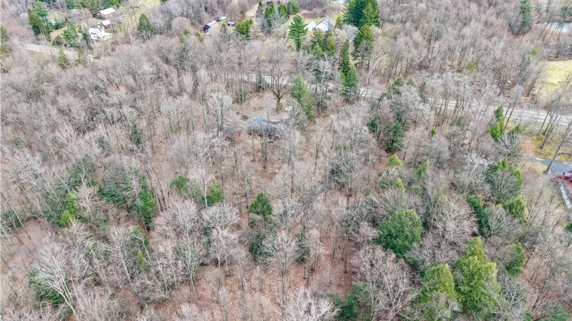 Property at 8988 Jennings Road, Eden, NY 14057 27