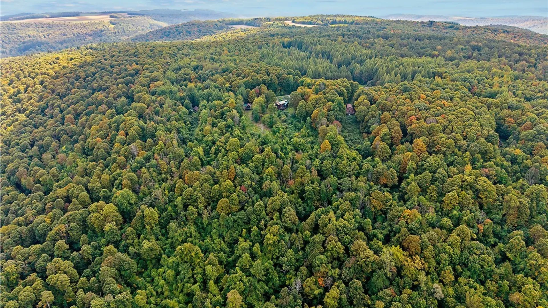 Property at 8923 Wildwood Chase, Springwater, NY 14560 35