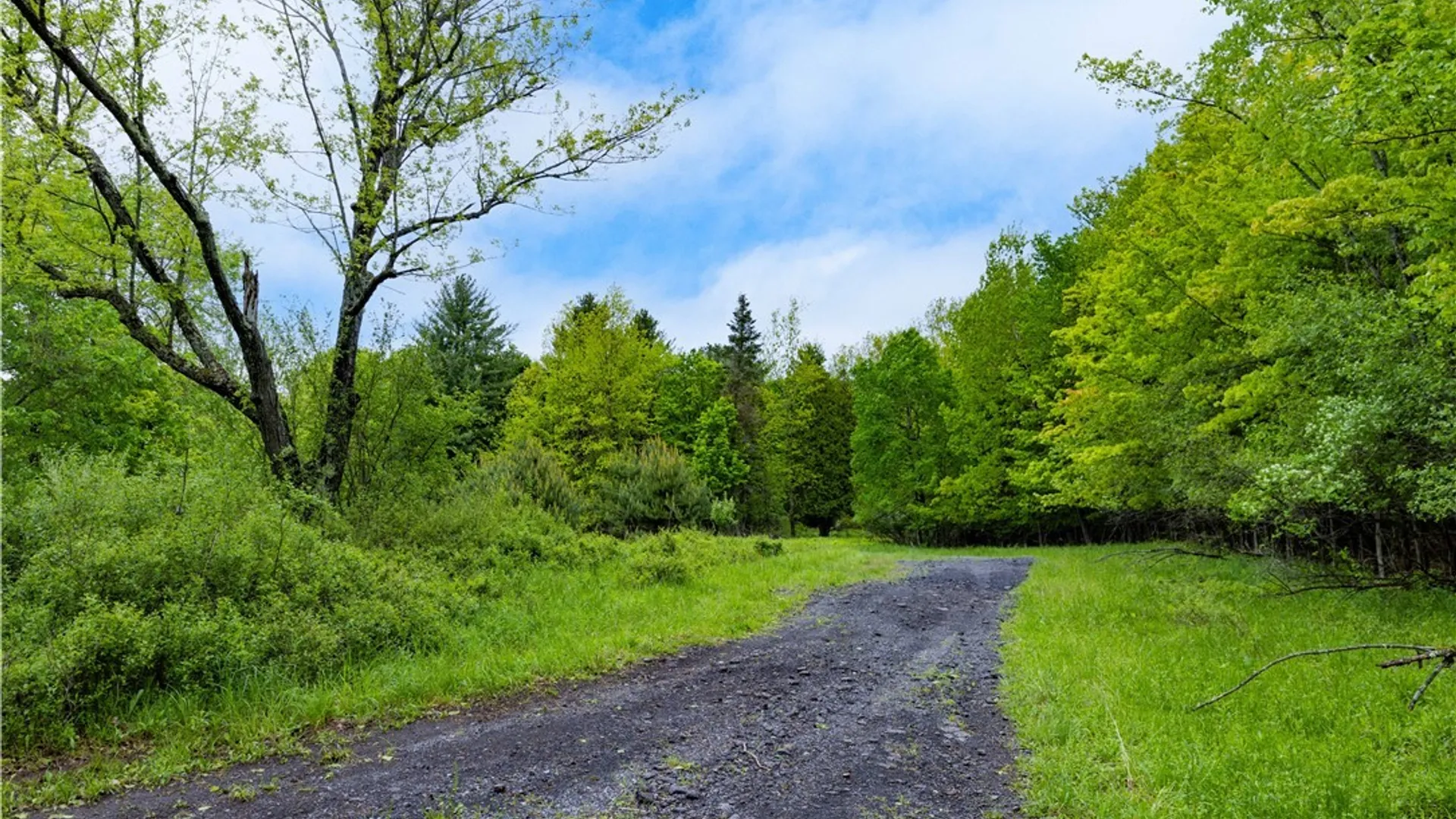 Property at 58 Cascade Drive, New Hartford, NY 13413 2