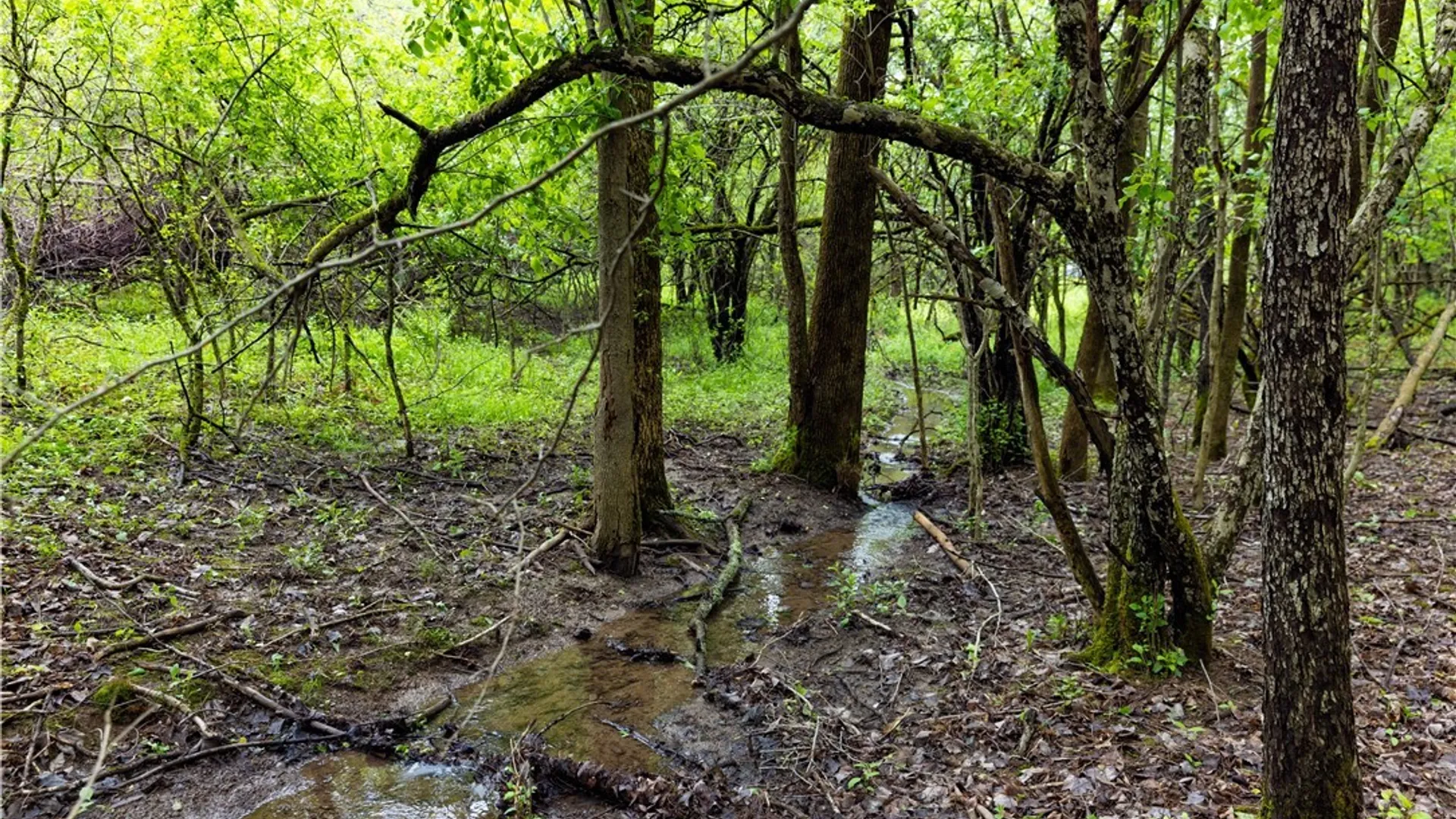 Property at 58 Cascade Drive, New Hartford, NY 13413 7