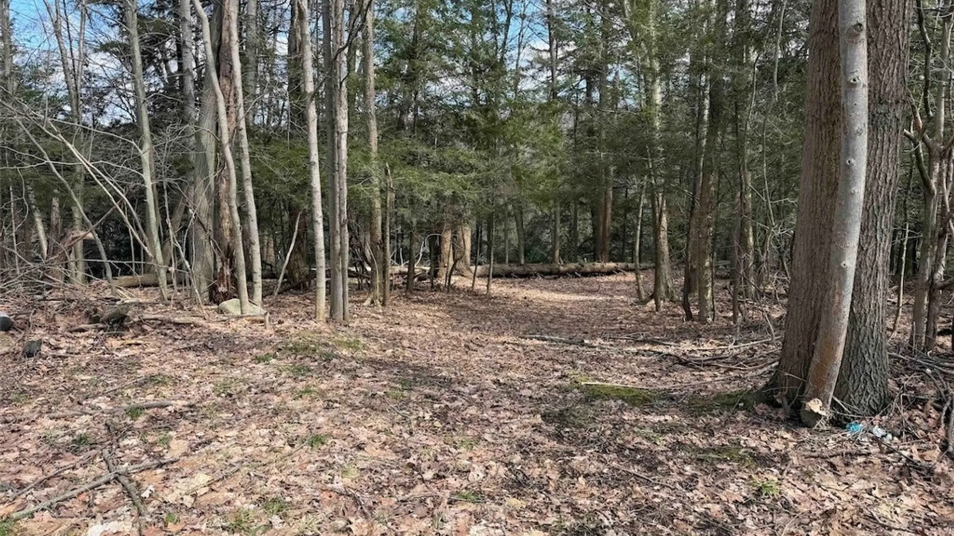 Property at Broadway Road, Persia, NY 14070 10