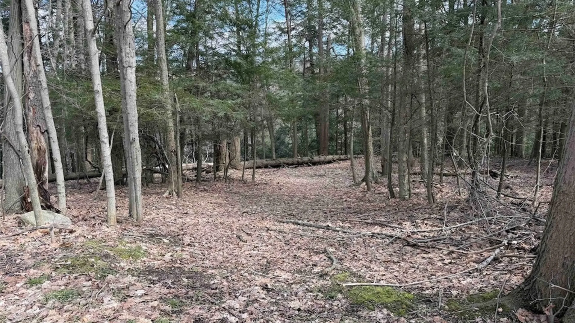 Property at Broadway Road, Persia, NY 14070 11