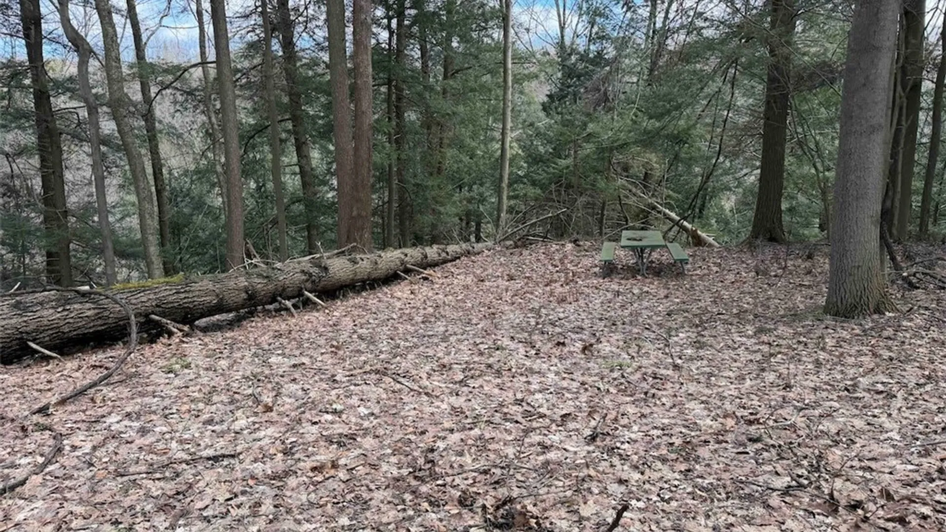 Property at Broadway Road, Persia, NY 14070 12