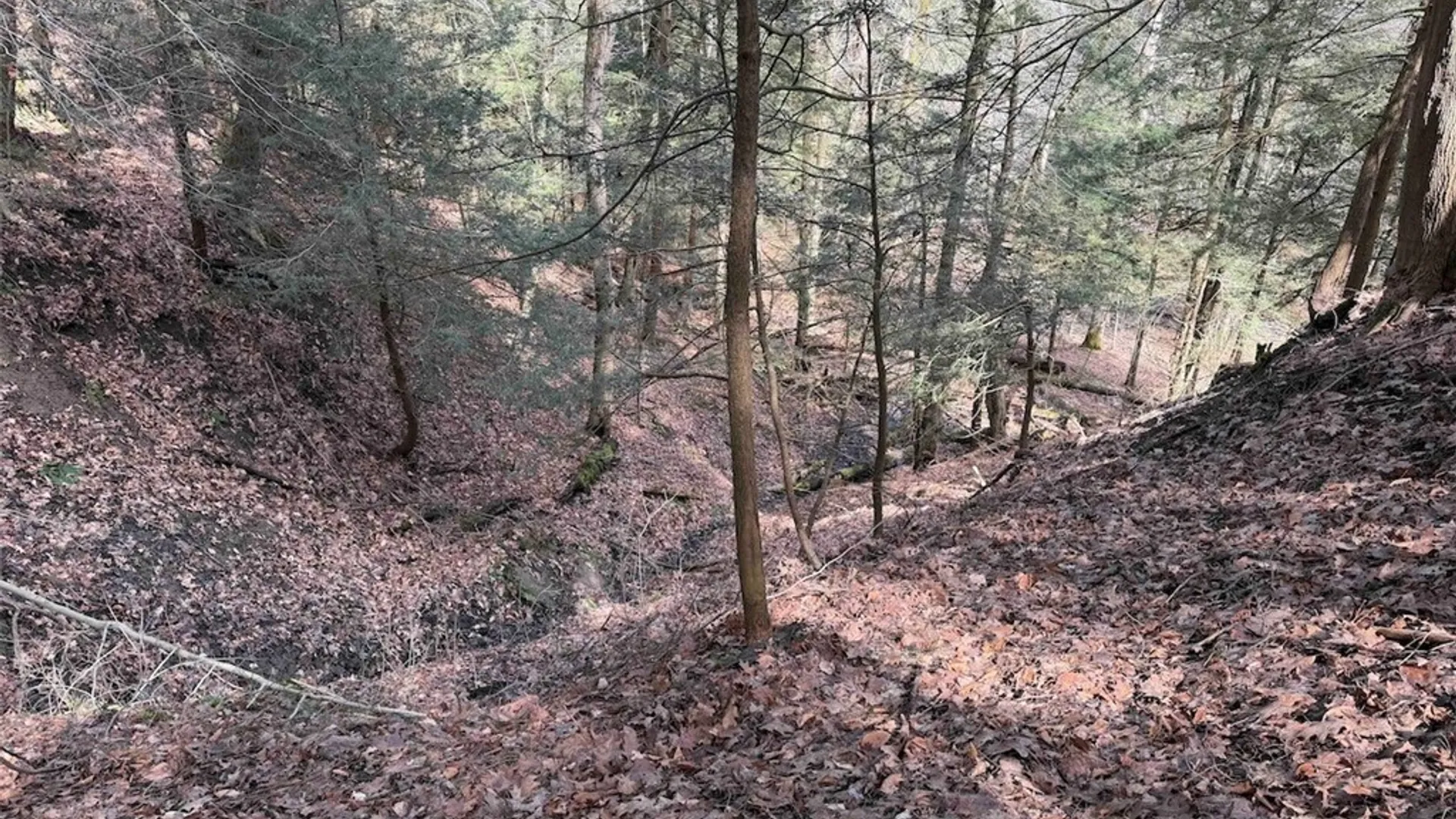 Property at Broadway Road, Persia, NY 14070 13