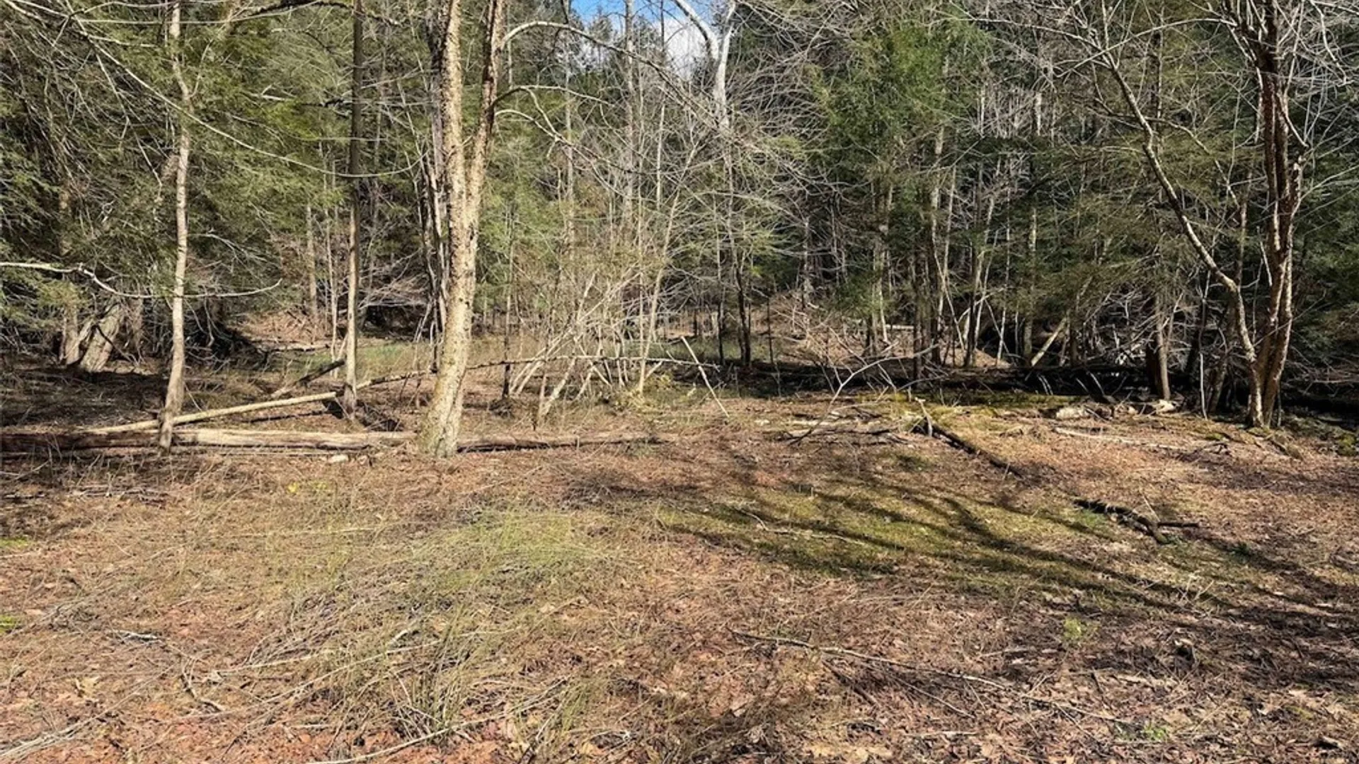 Property at Broadway Road, Persia, NY 14070 14