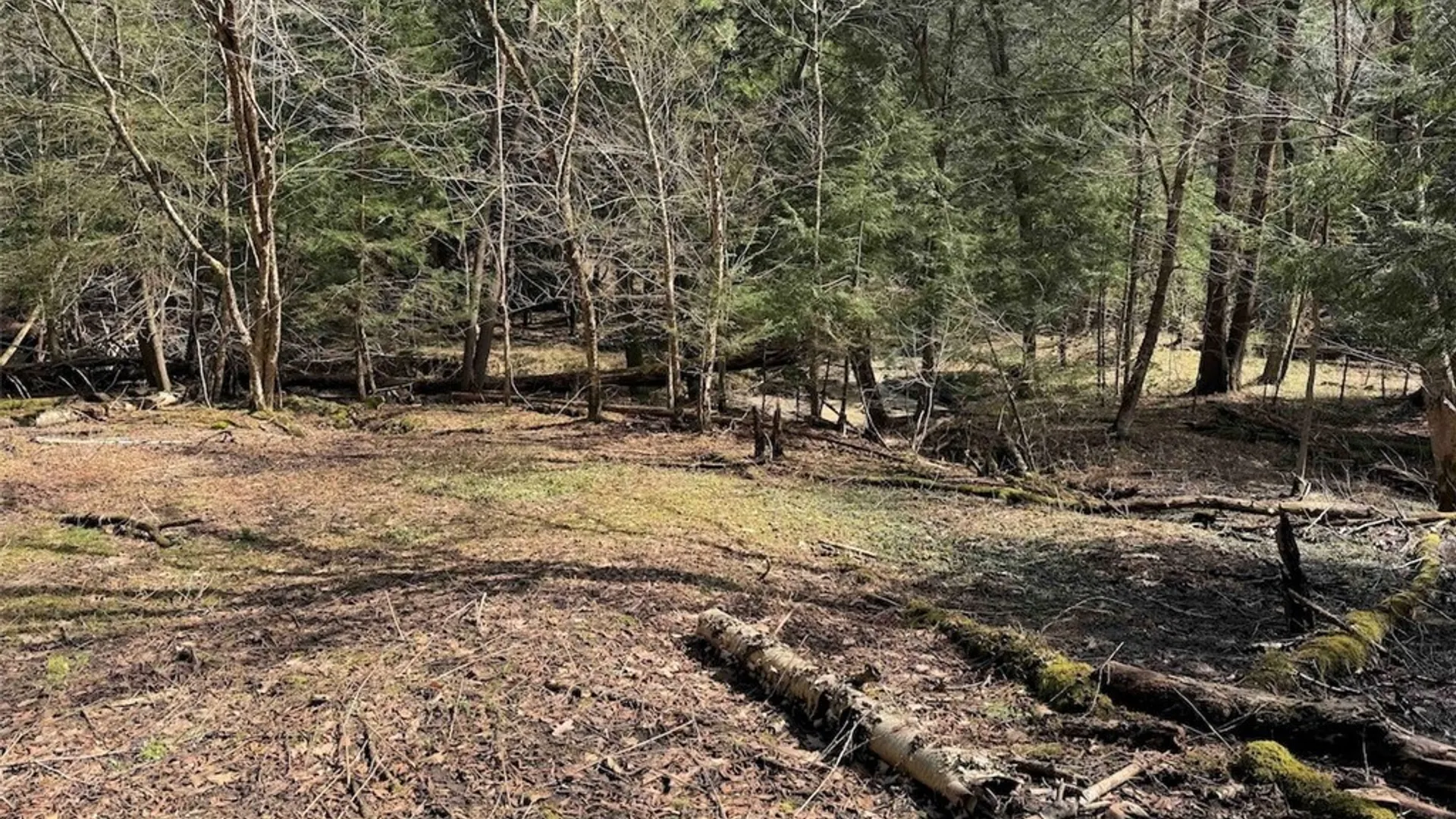 Property at Broadway Road, Persia, NY 14070 15