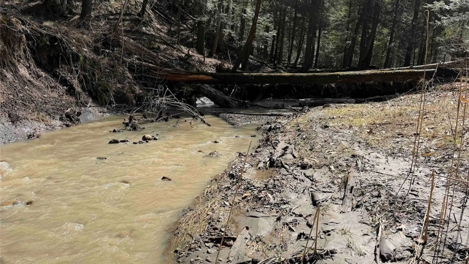 Property at Broadway Road, Persia, NY 14070 17