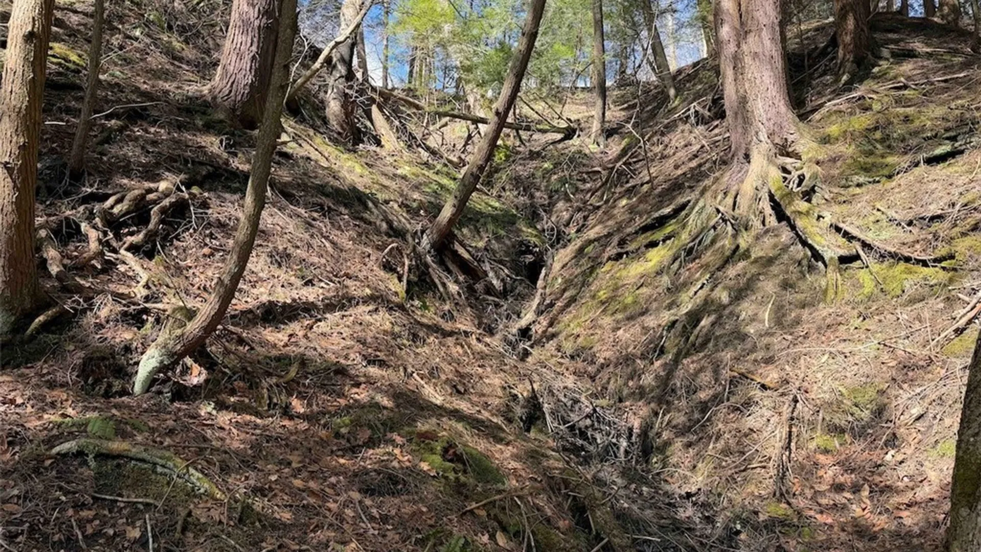 Property at Broadway Road, Persia, NY 14070 19