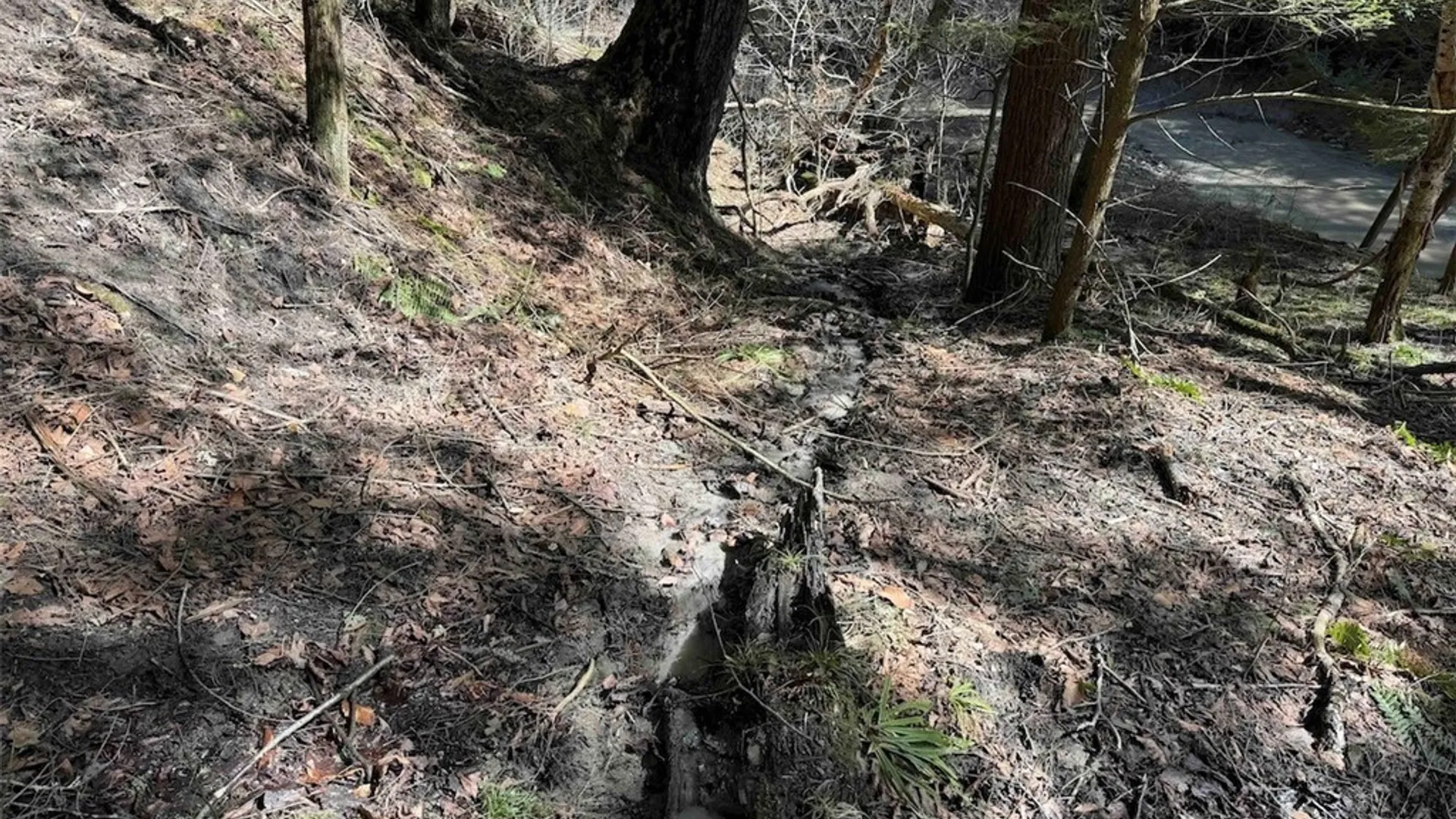 Property at Broadway Road, Persia, NY 14070 20