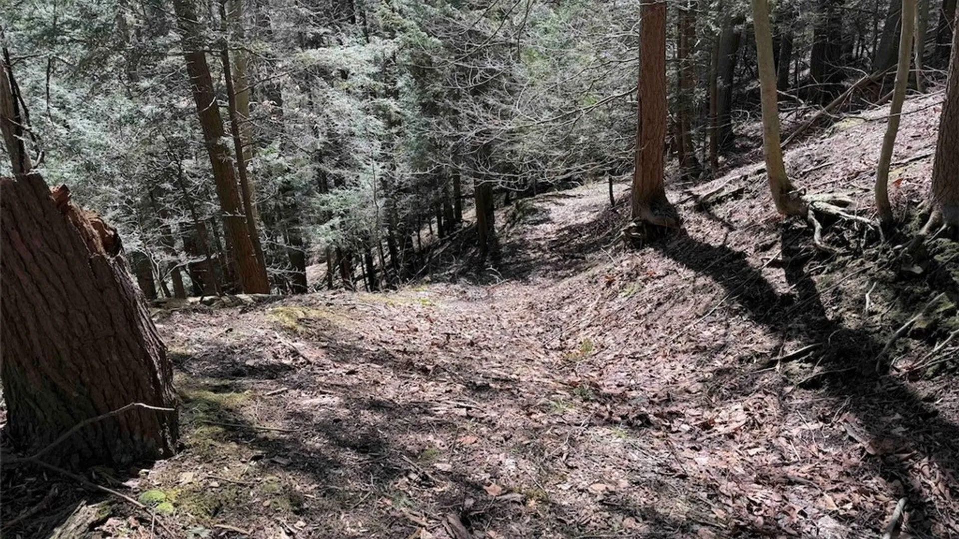 Property at Broadway Road, Persia, NY 14070 22