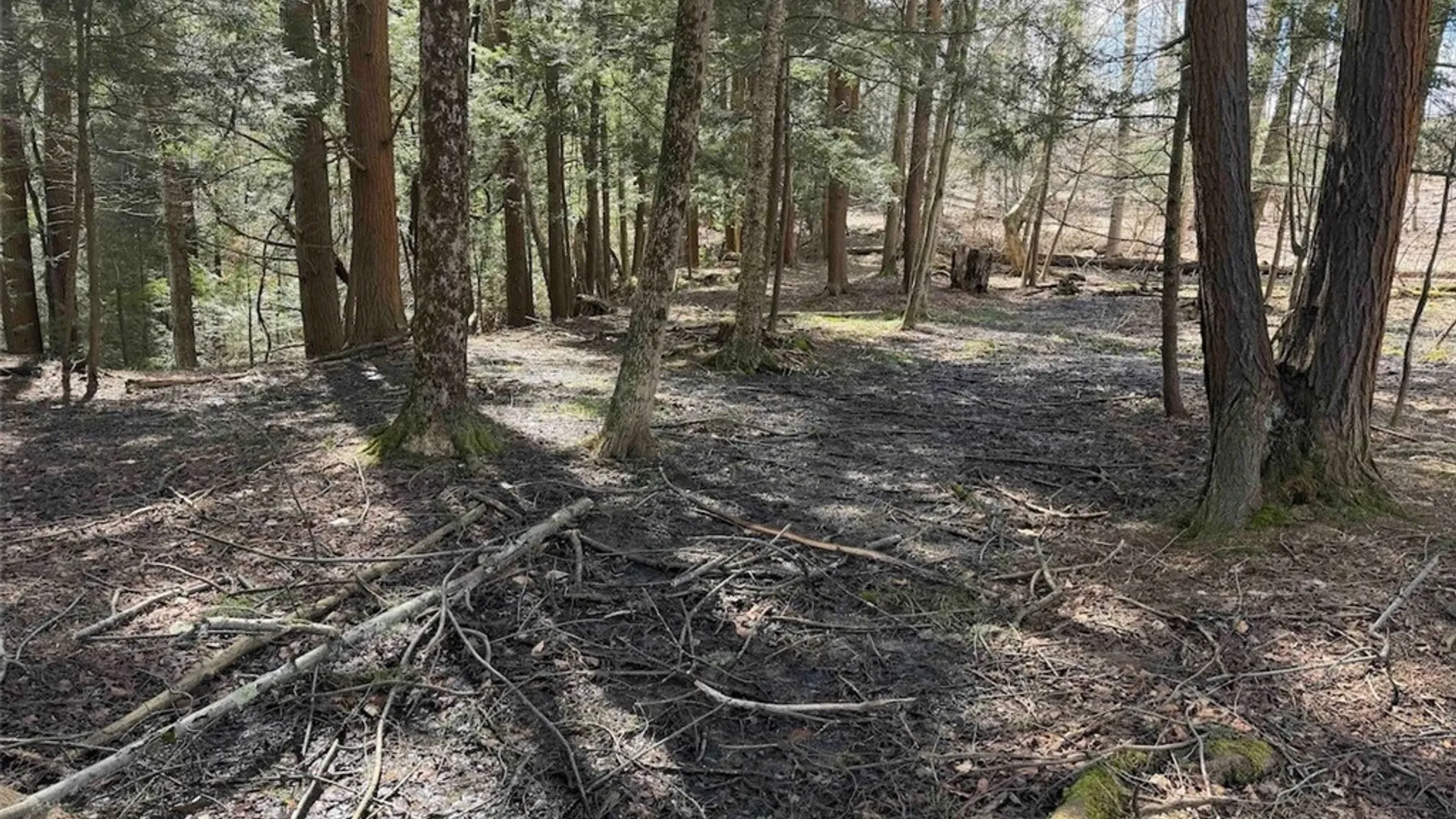 Property at Broadway Road, Persia, NY 14070 23