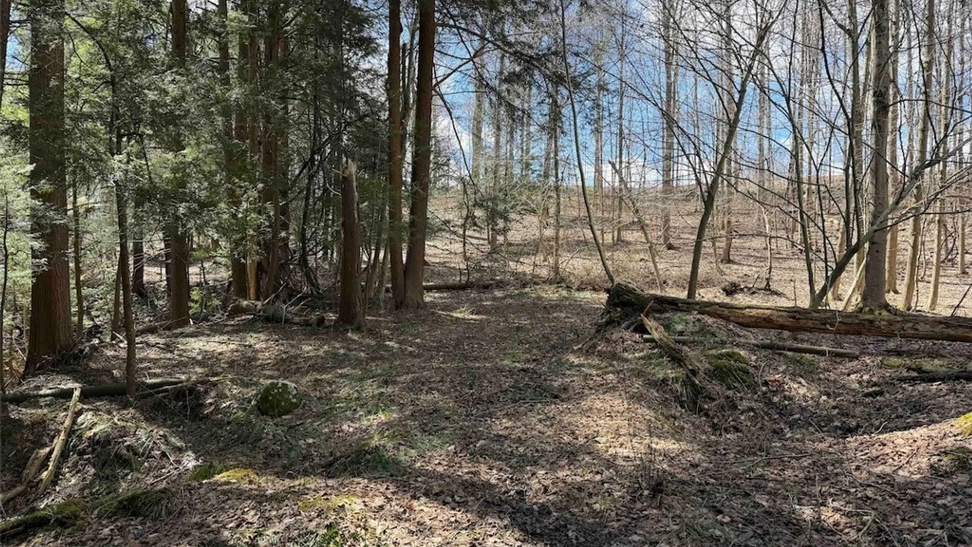 Property at Broadway Road, Persia, NY 14070 24