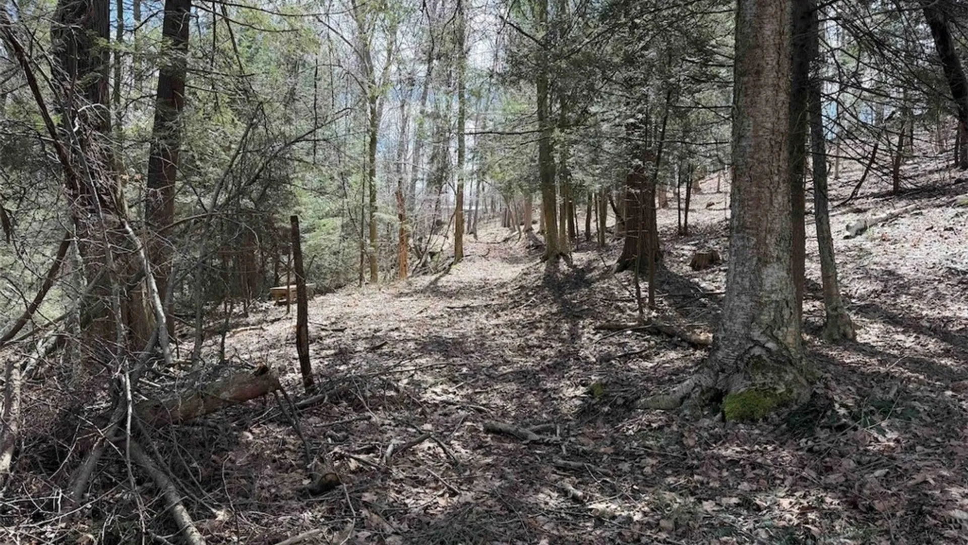 Property at Broadway Road, Persia, NY 14070 25