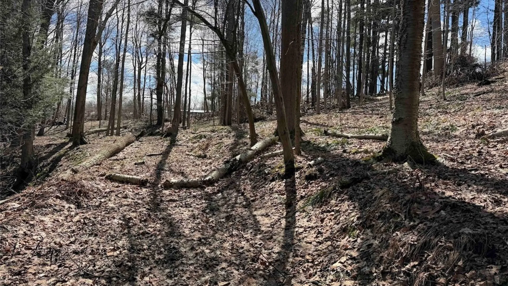 Property at Broadway Road, Persia, NY 14070 26