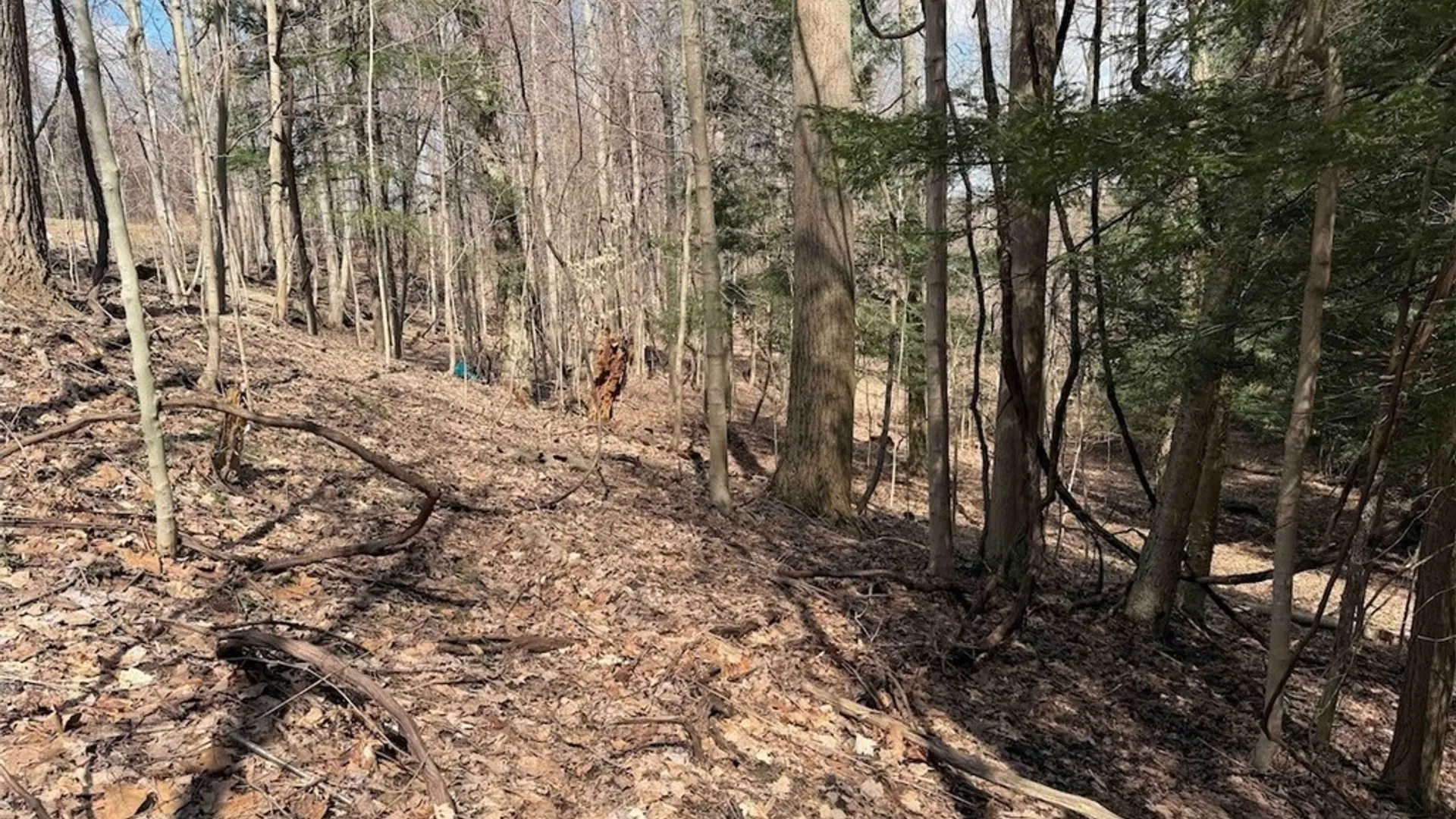 Property at Broadway Road, Persia, NY 14070 27