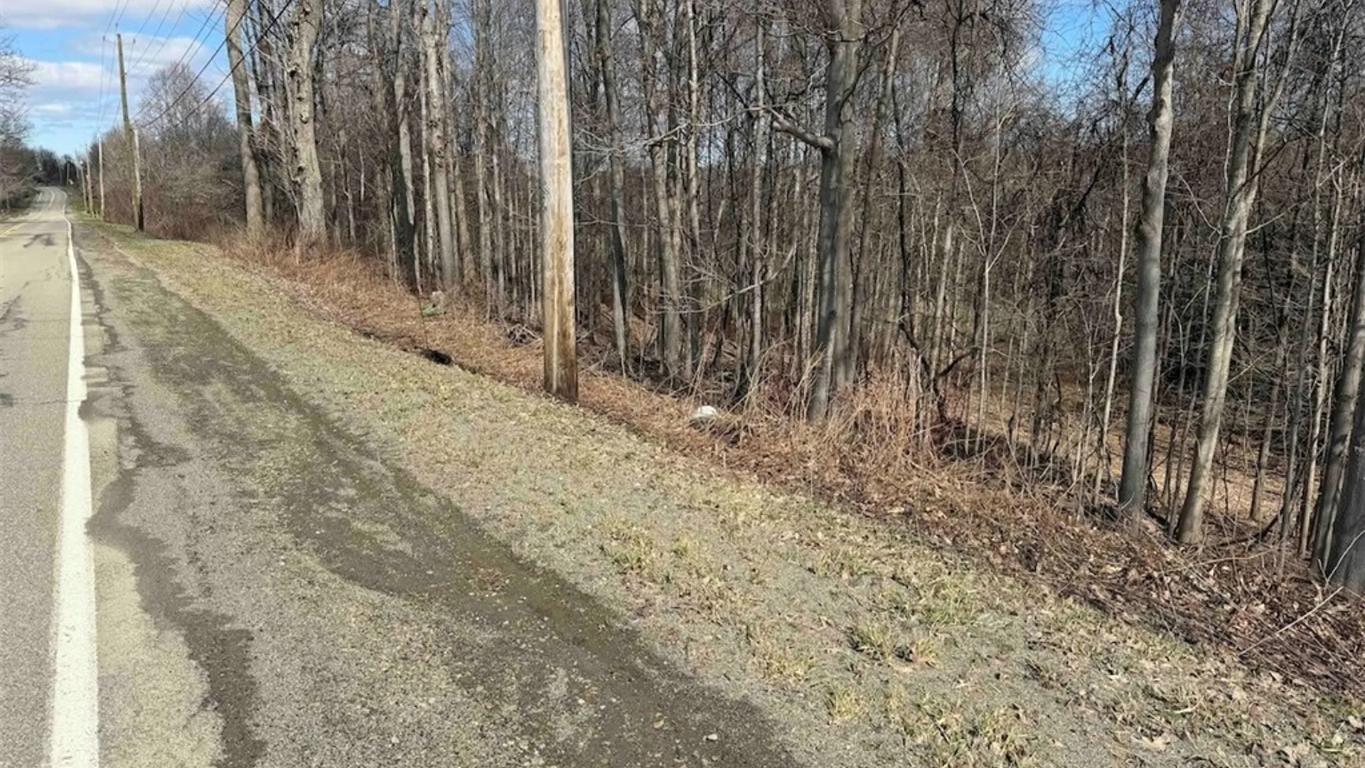 Property at Broadway Road, Persia, NY 14070 28