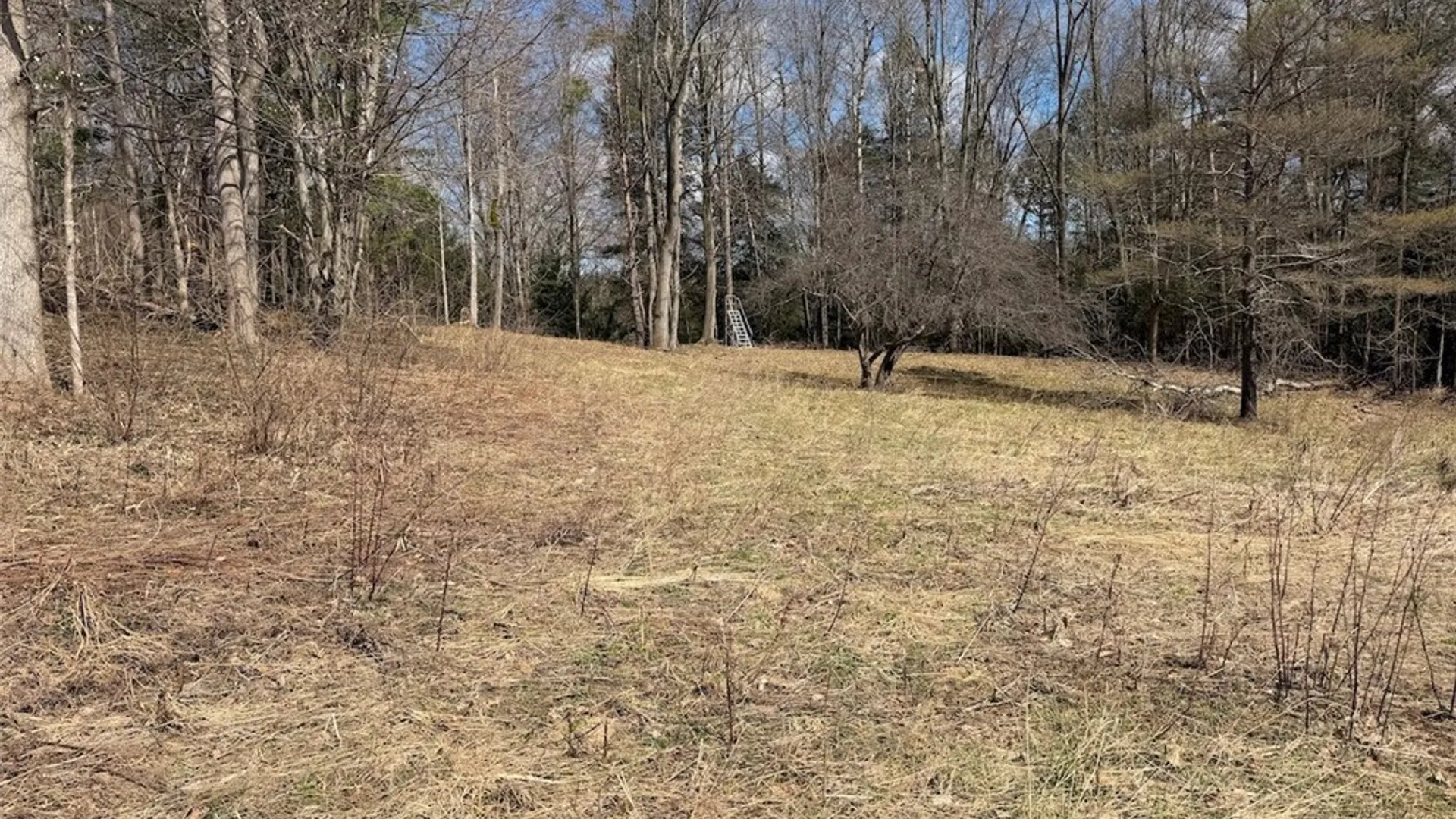 Property at Broadway Road, Persia, NY 14070 4