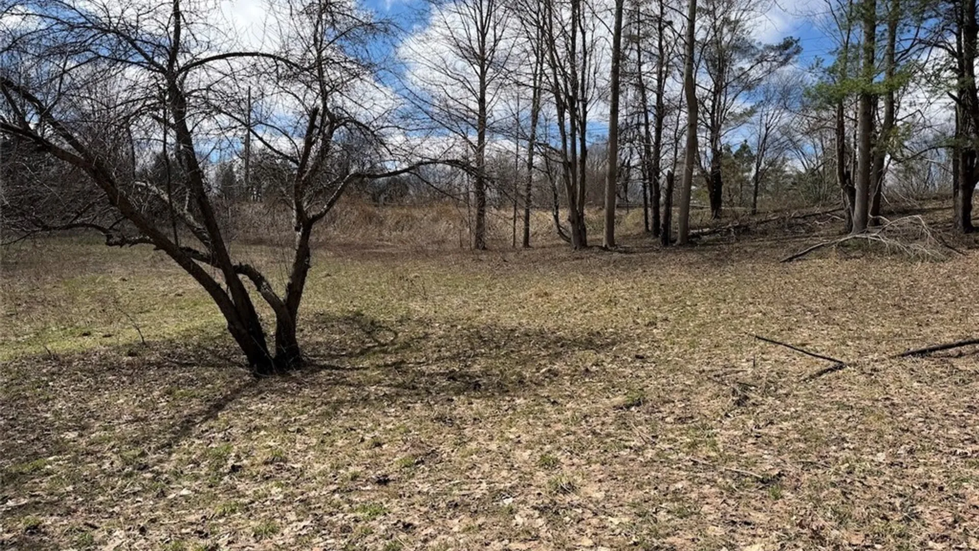 Property at Broadway Road, Persia, NY 14070 5