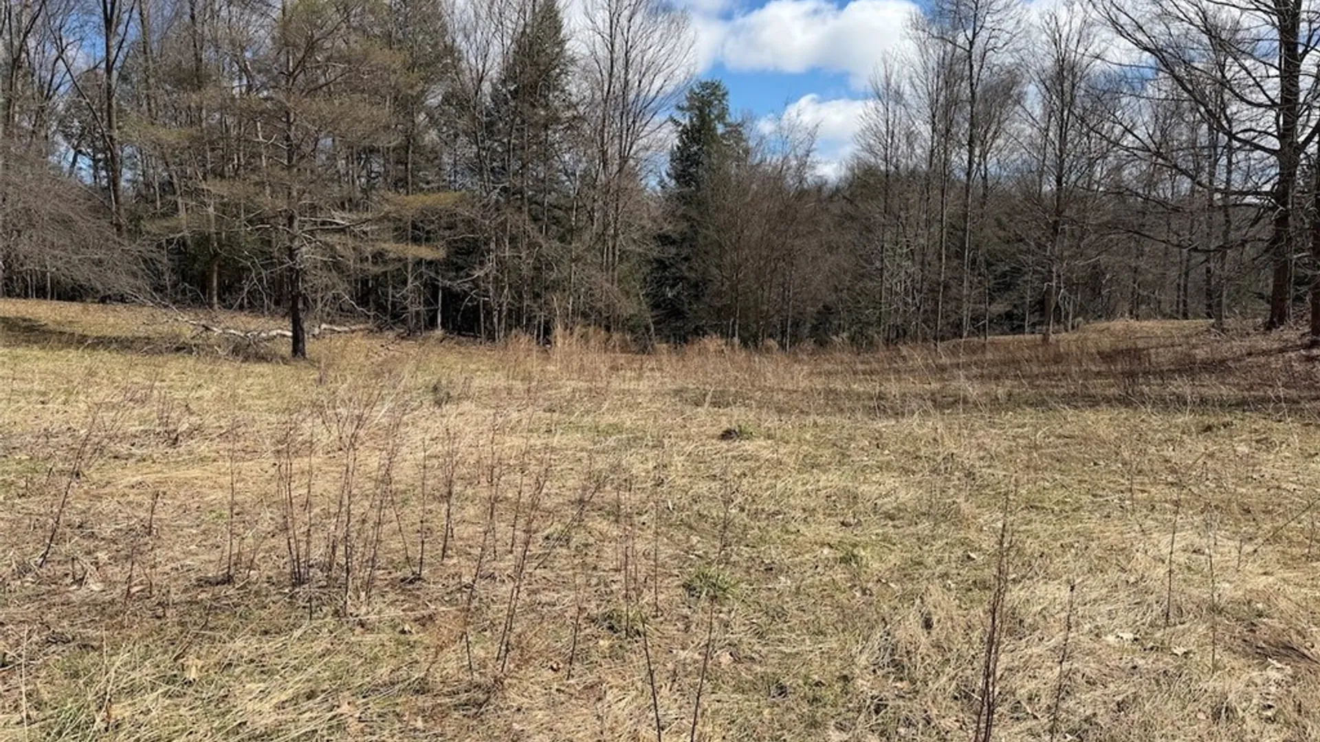 Property at Broadway Road, Persia, NY 14070 6