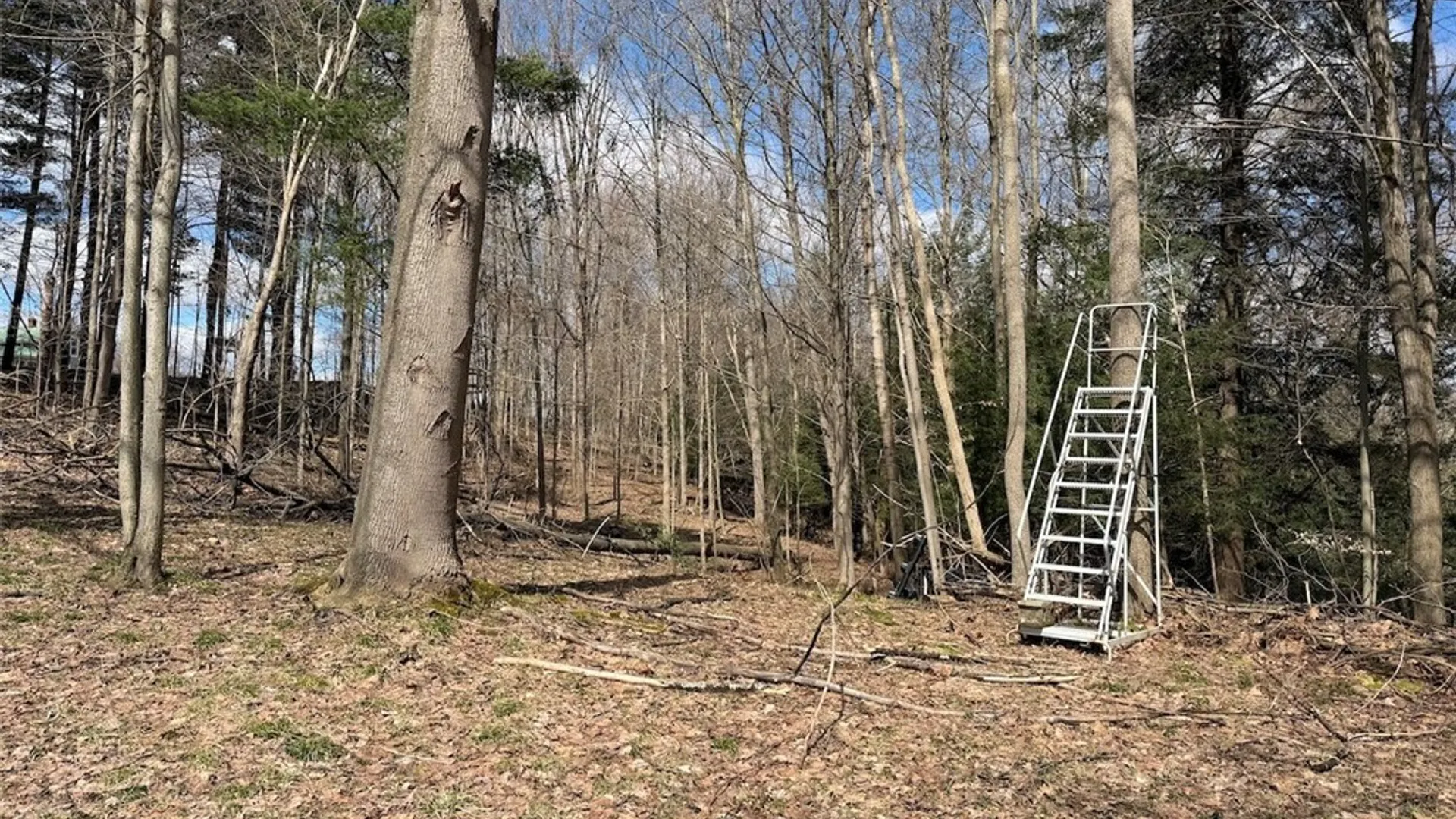 Property at Broadway Road, Persia, NY 14070 7