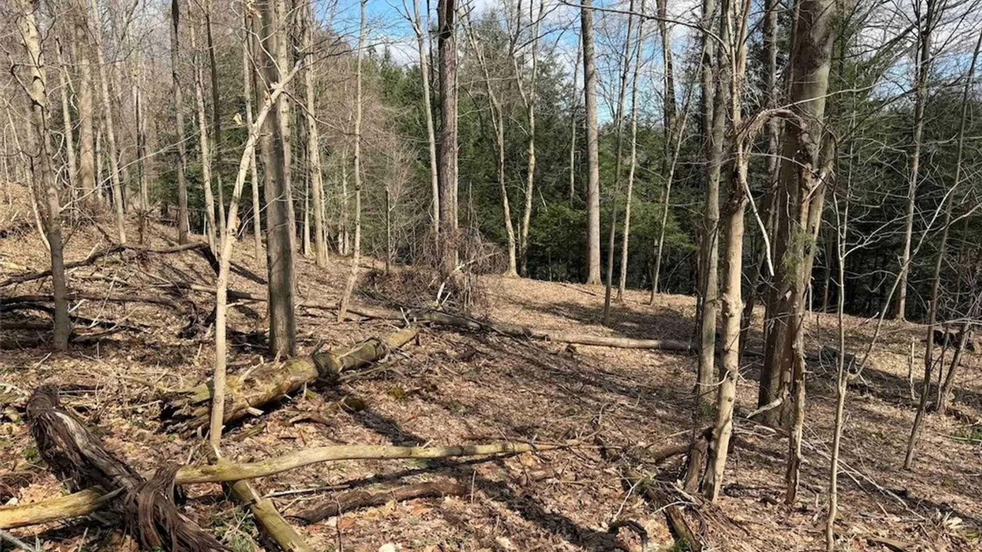 Property at Broadway Road, Persia, NY 14070 8