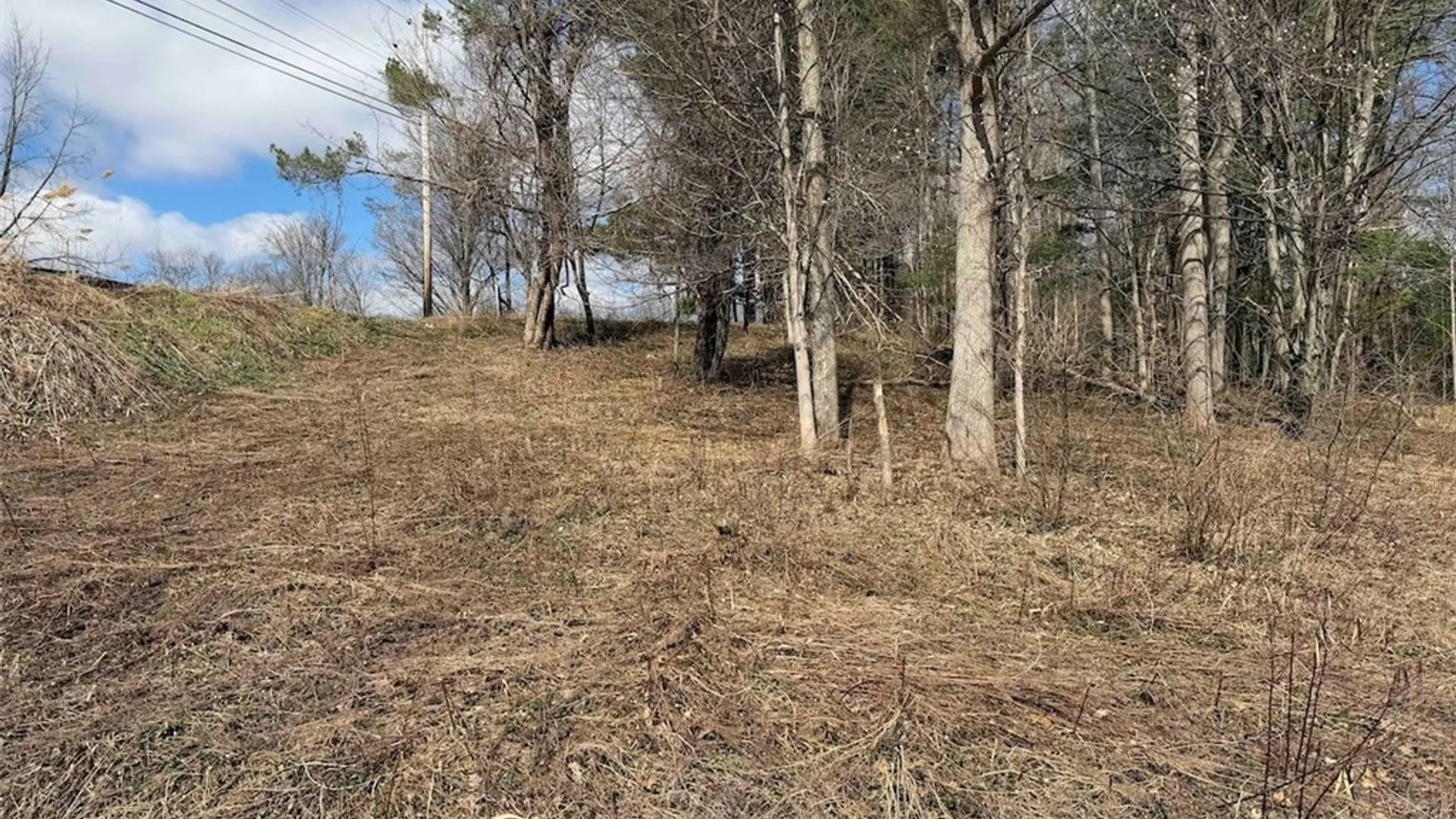 Property at Broadway Road, Persia, NY 14070 9