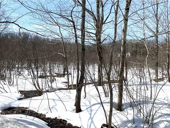 Property at Town Line Road, Lorraine, NY 13659