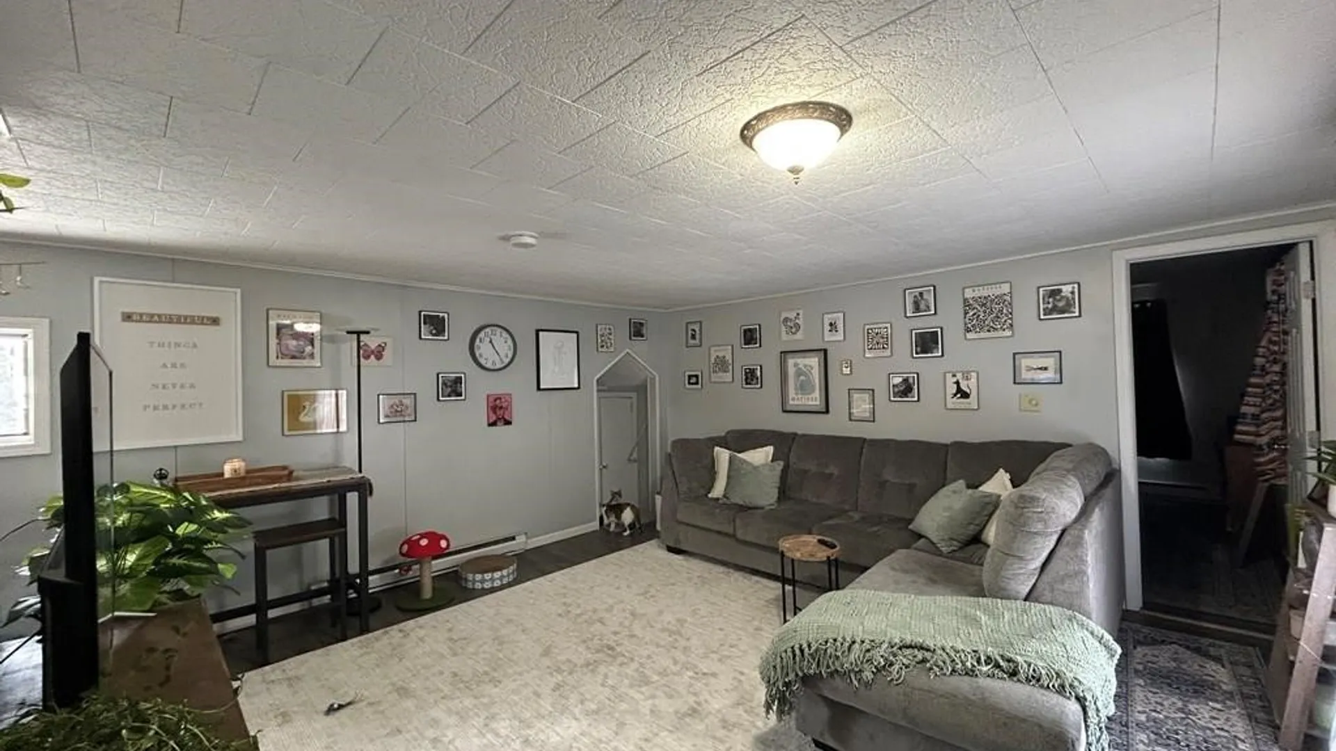 Property at 401 4th Street, Dix, NY 14891 23