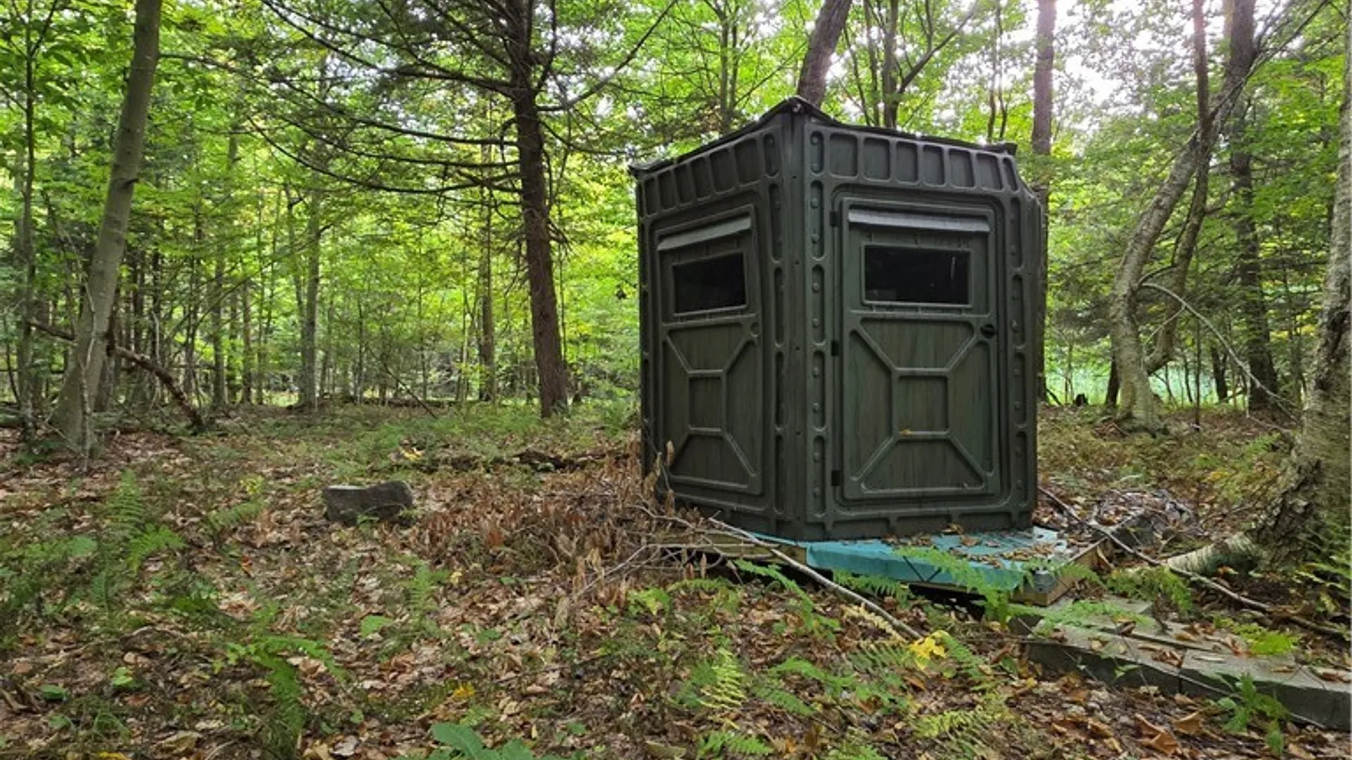 Property at Woodland Drive, Albion, NY 13302 11