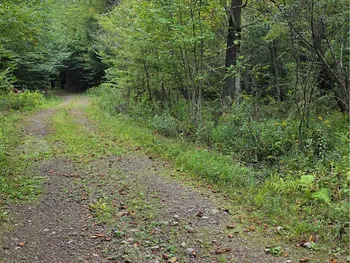Woodland Drive, Albion, NY 13302
