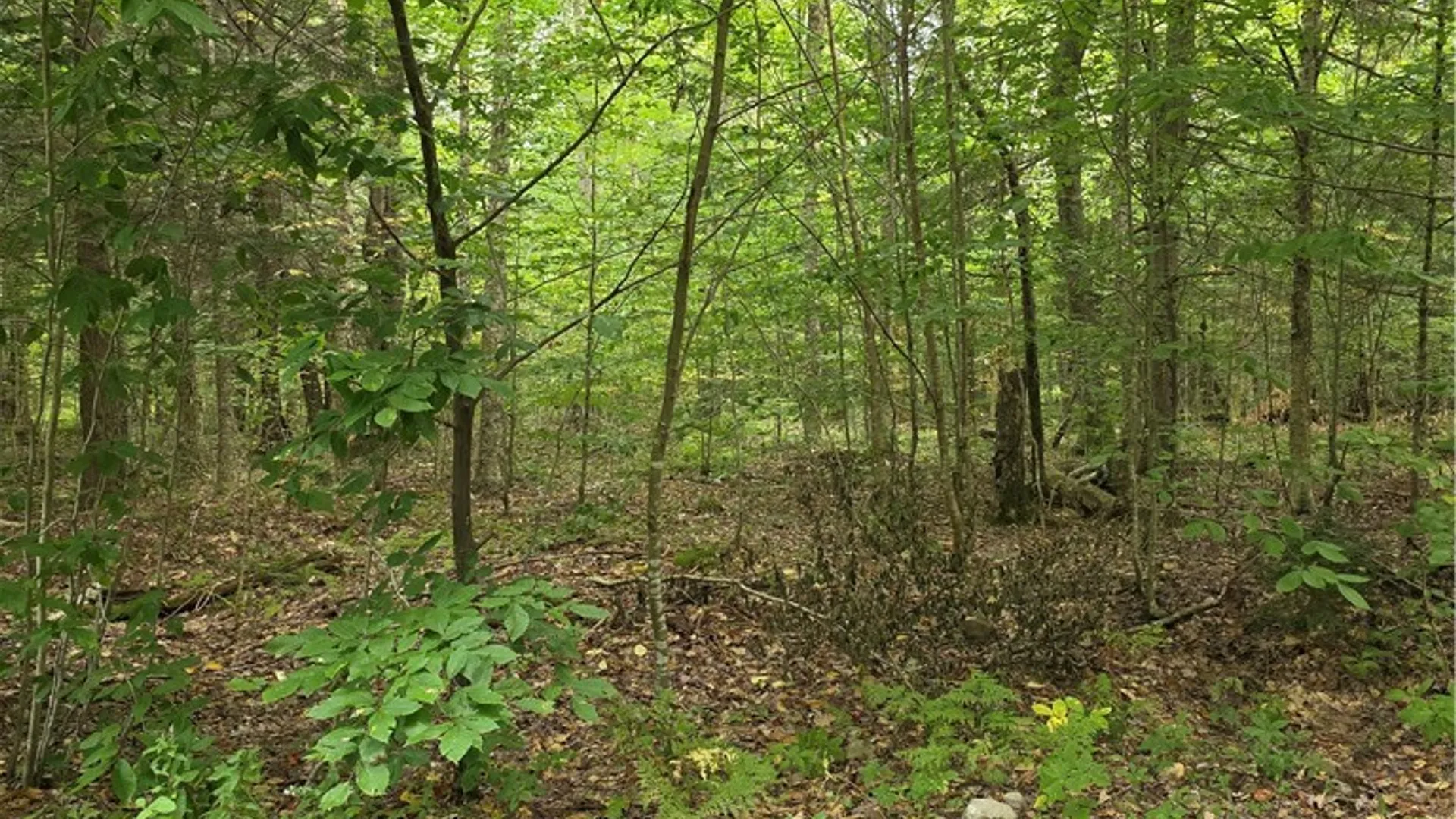 Property at Woodland Drive, Albion, NY 13302 2