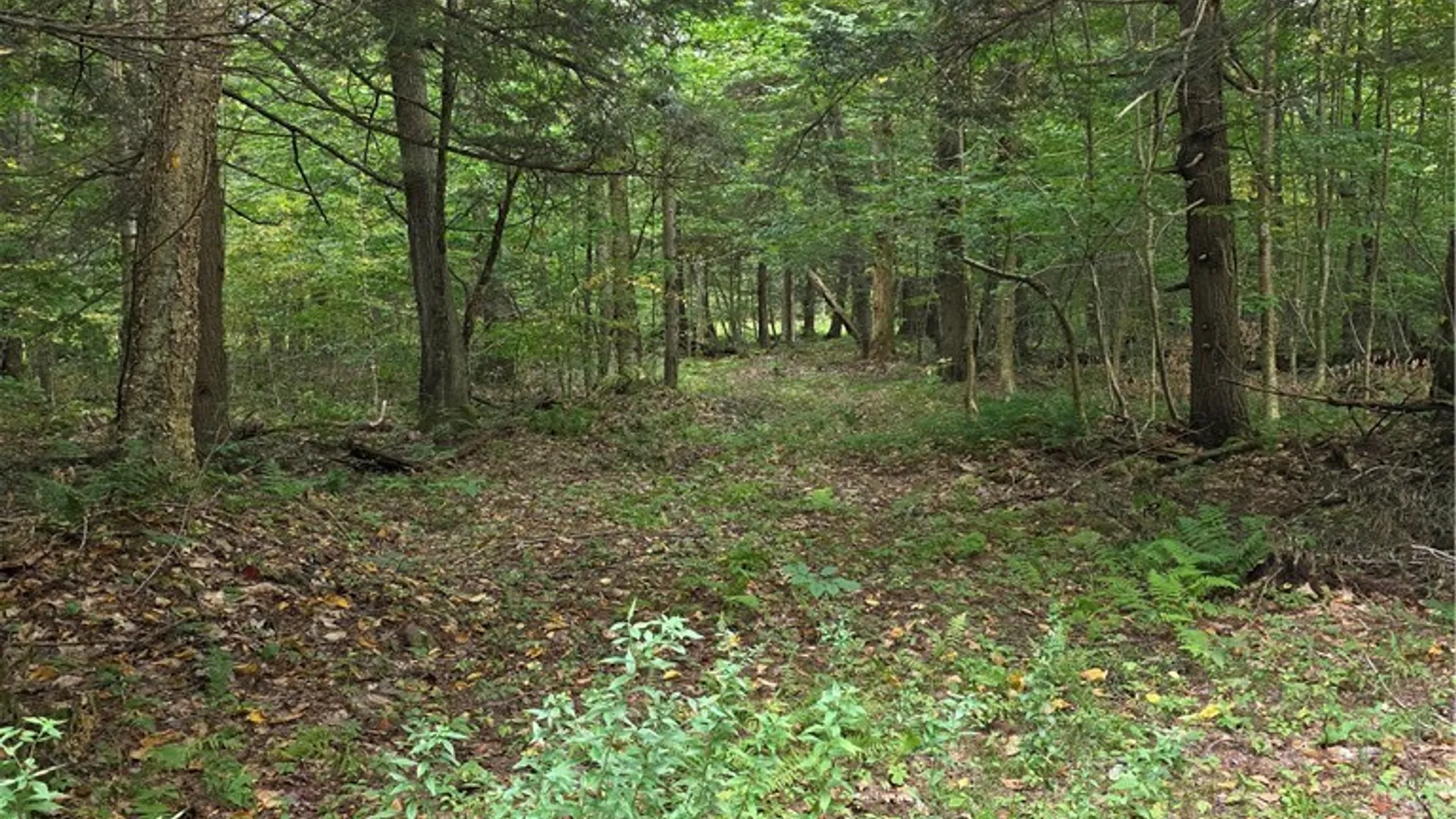 Property at Woodland Drive, Albion, NY 13302 3