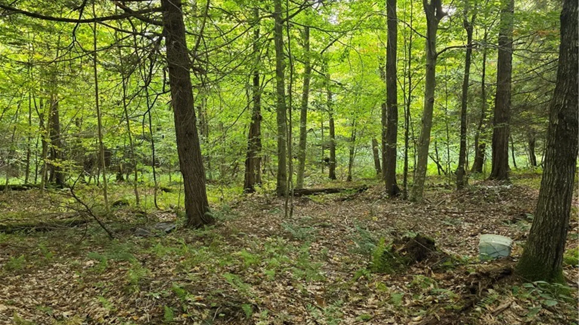 Property at Woodland Drive, Albion, NY 13302 9