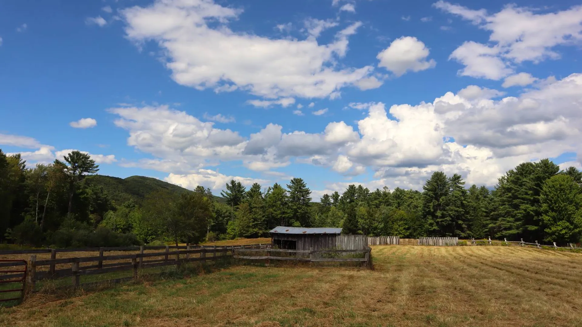 Property at 869 High St, Athol, NY 12810 44