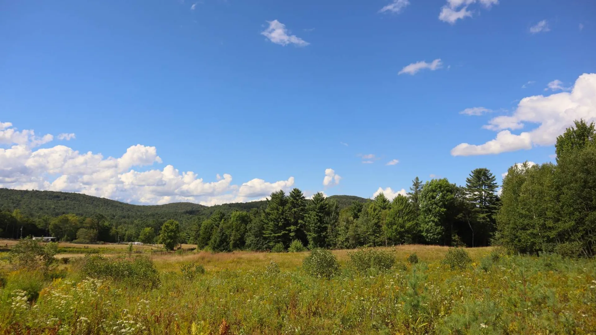 Property at 869 High St, Athol, NY 12810 78