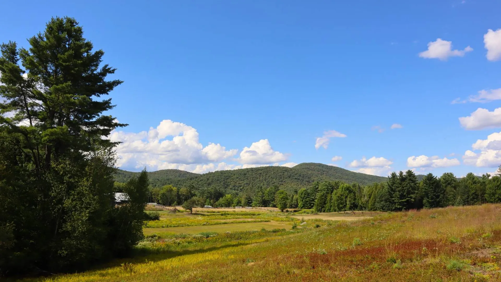 Property at 869 High St, Athol, NY 12810 80