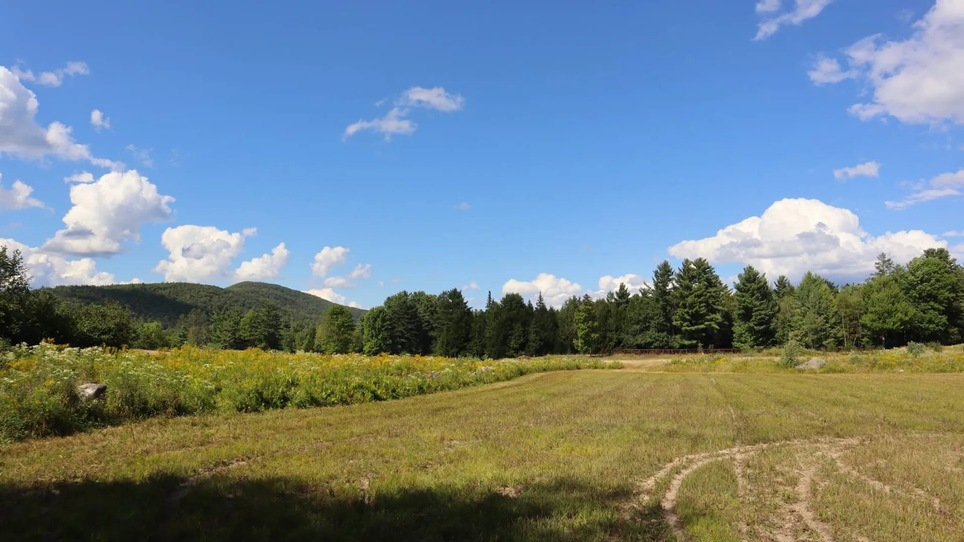 Property at 869 High St, Athol, NY 12810 81