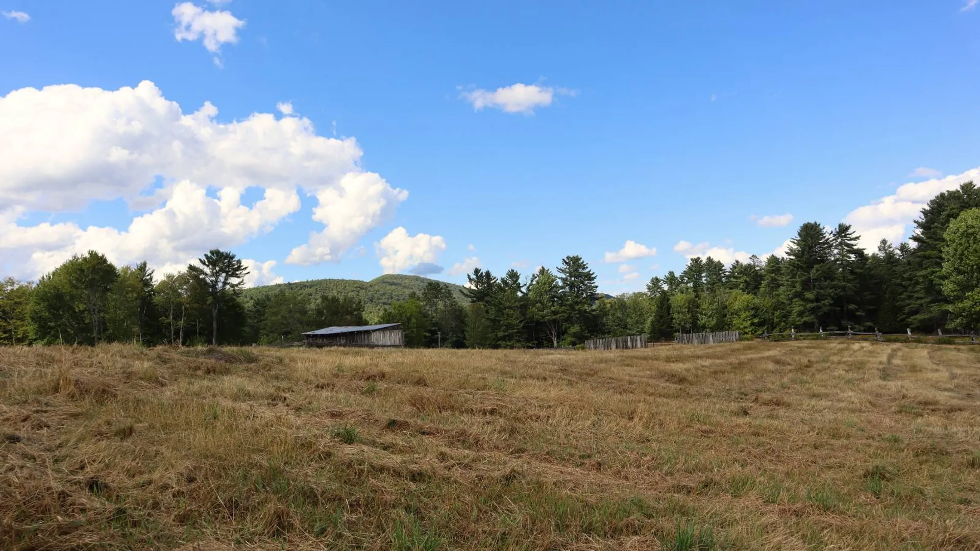 Property at 869 High St, Athol, NY 12810 82