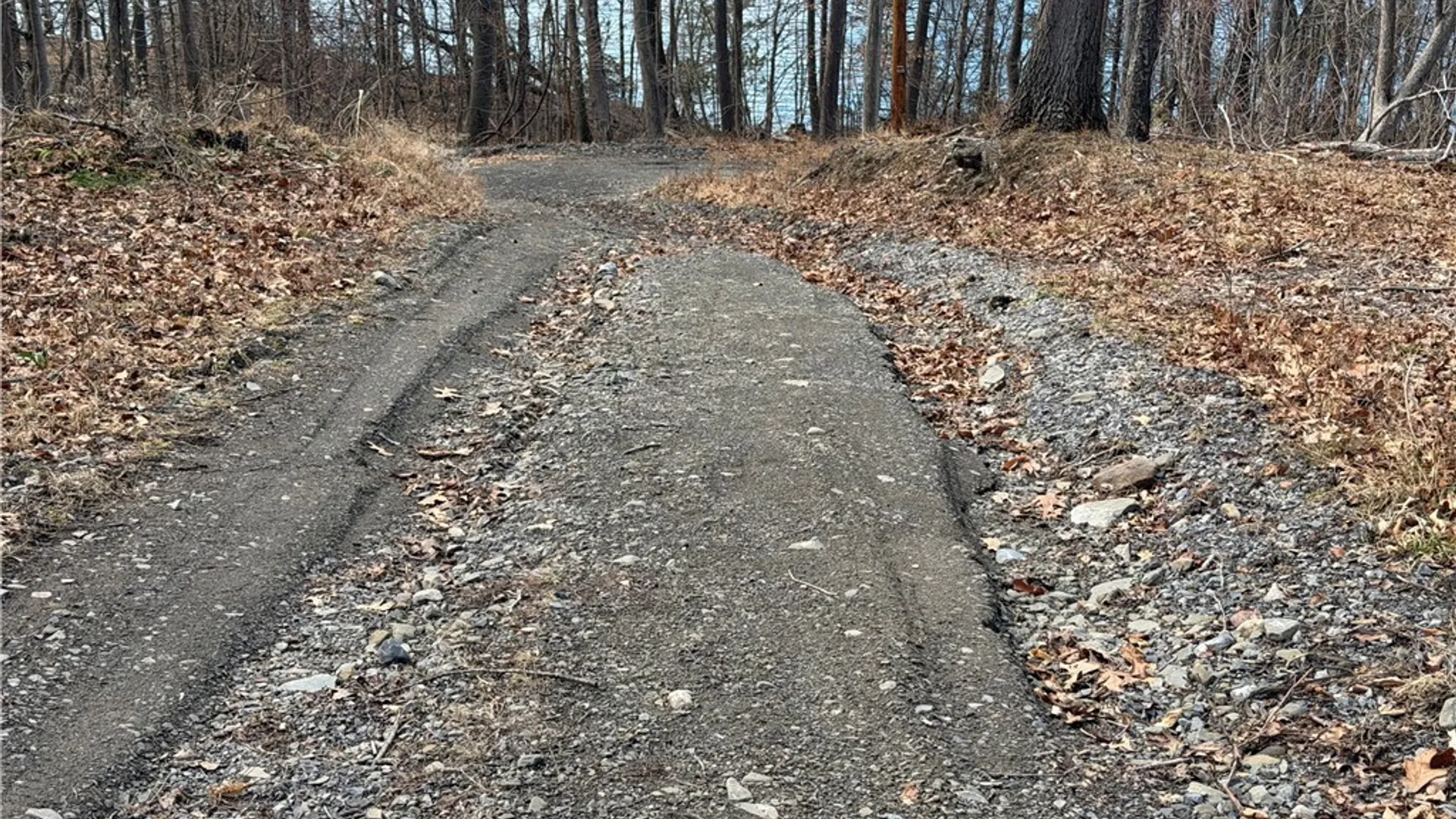 Property at 9045 Prossick Road, Lodi, NY 14860 35