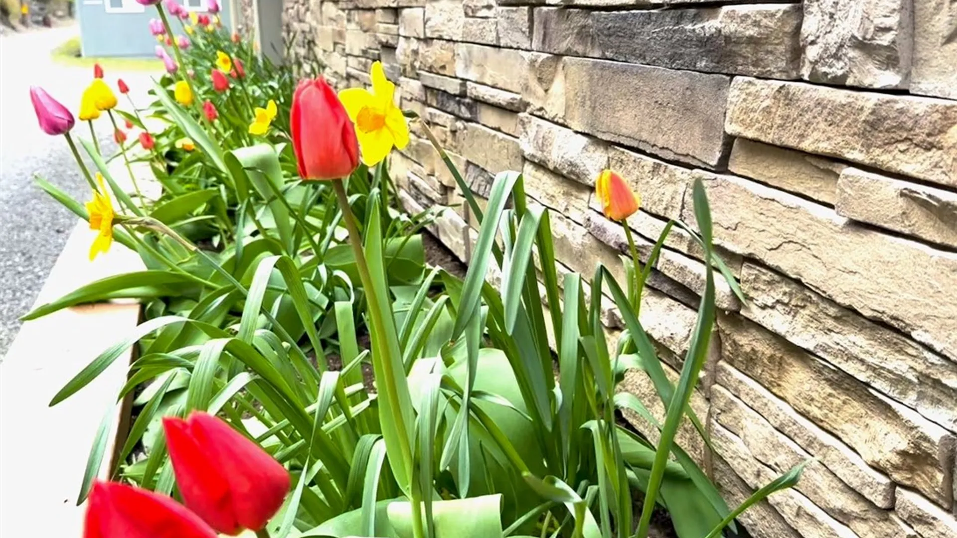 Property at 955 Fire Lane 6, Genoa, NY 13081 44