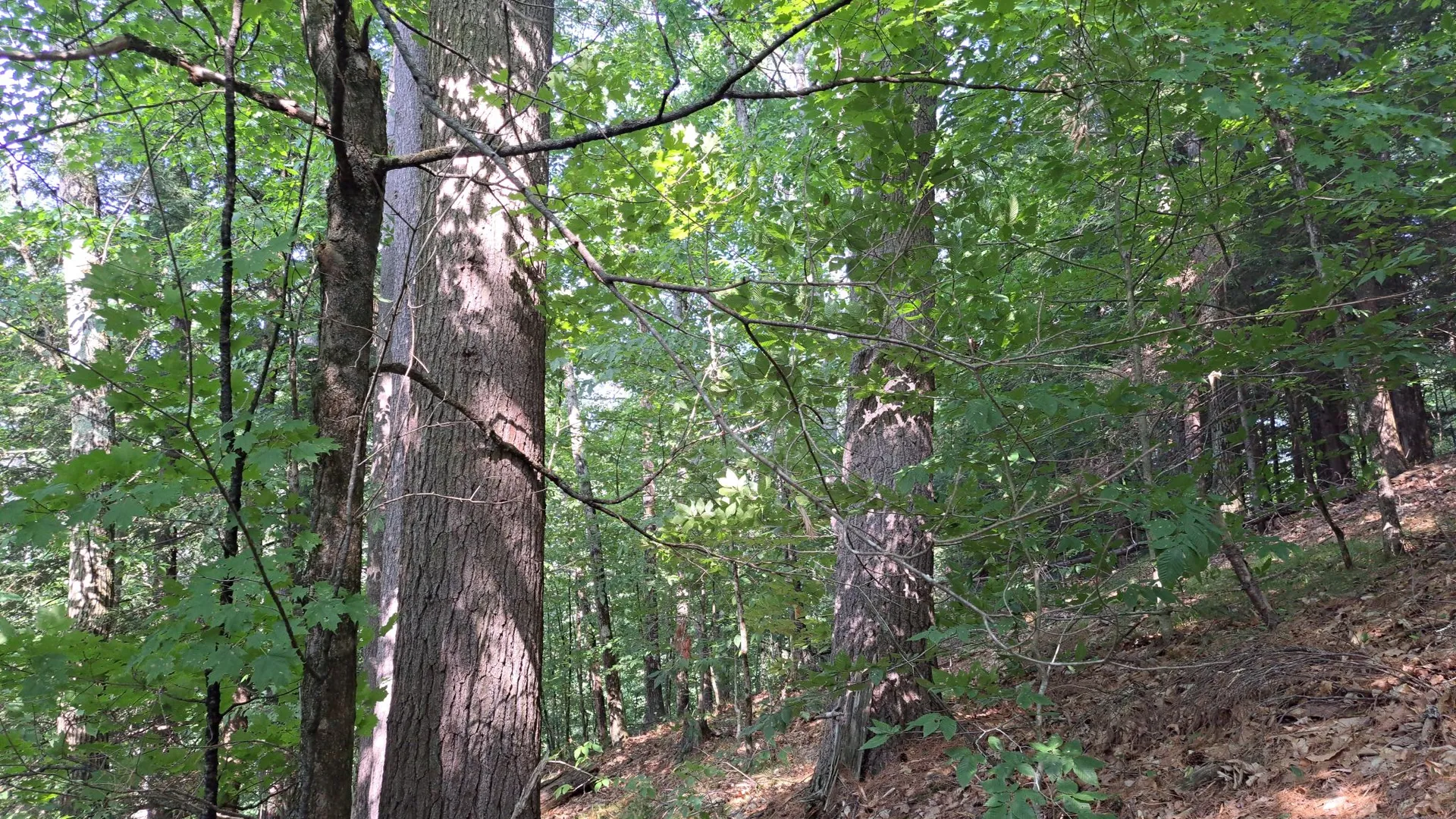 Property at State Route 28, Warrensburg, NY 12885 11