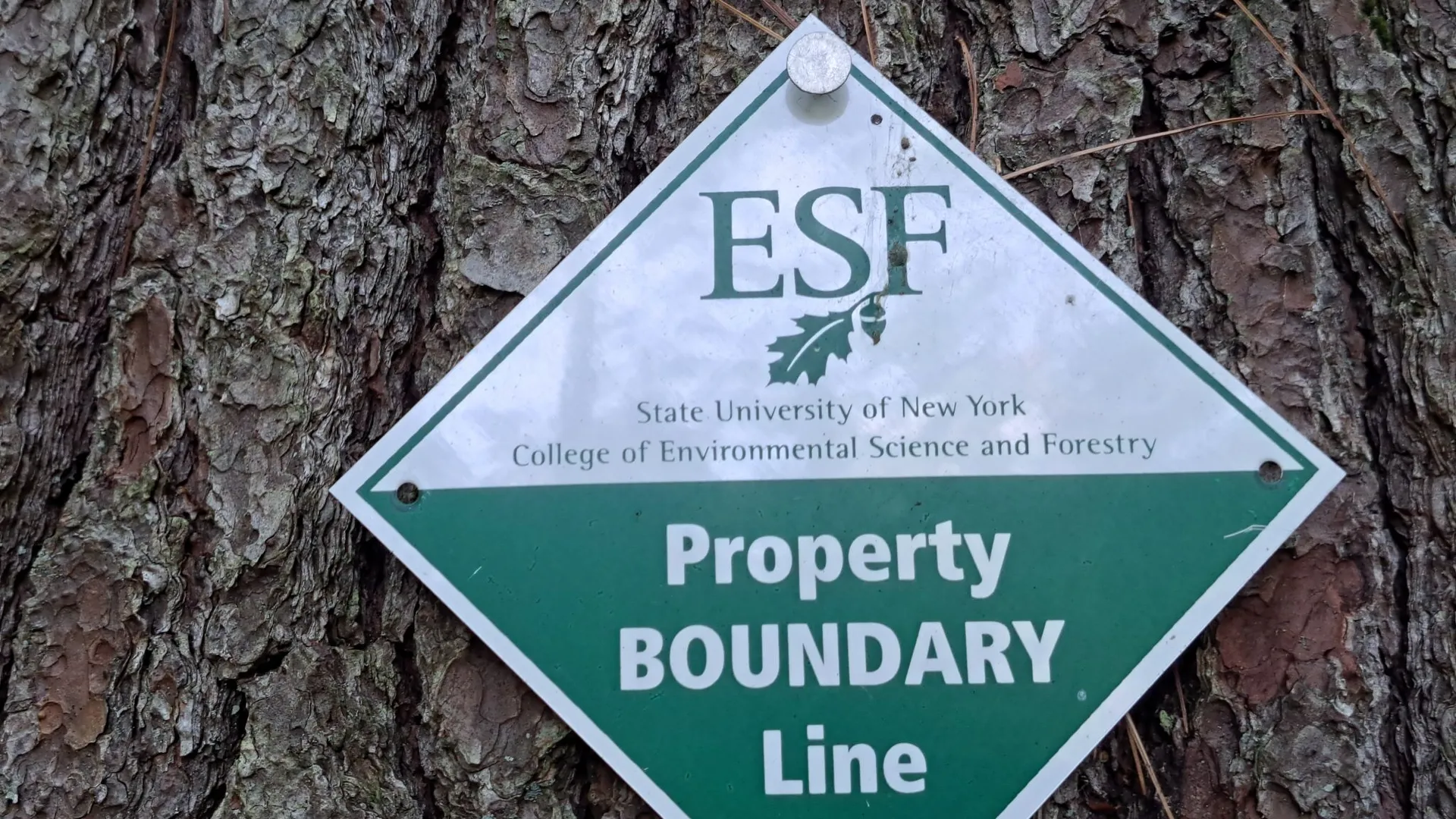 Property at State Route 28, Warrensburg, NY 12885 12