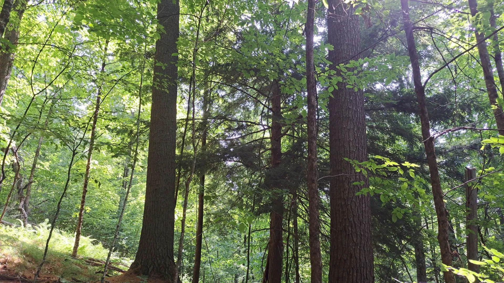 Property at State Route 28, Warrensburg, NY 12885 15