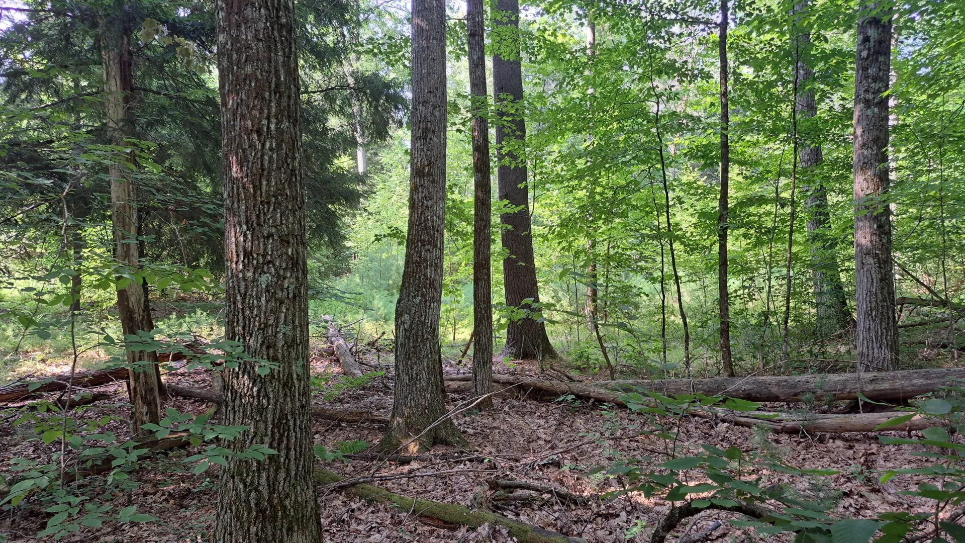Property at State Route 28, Warrensburg, NY 12885 17
