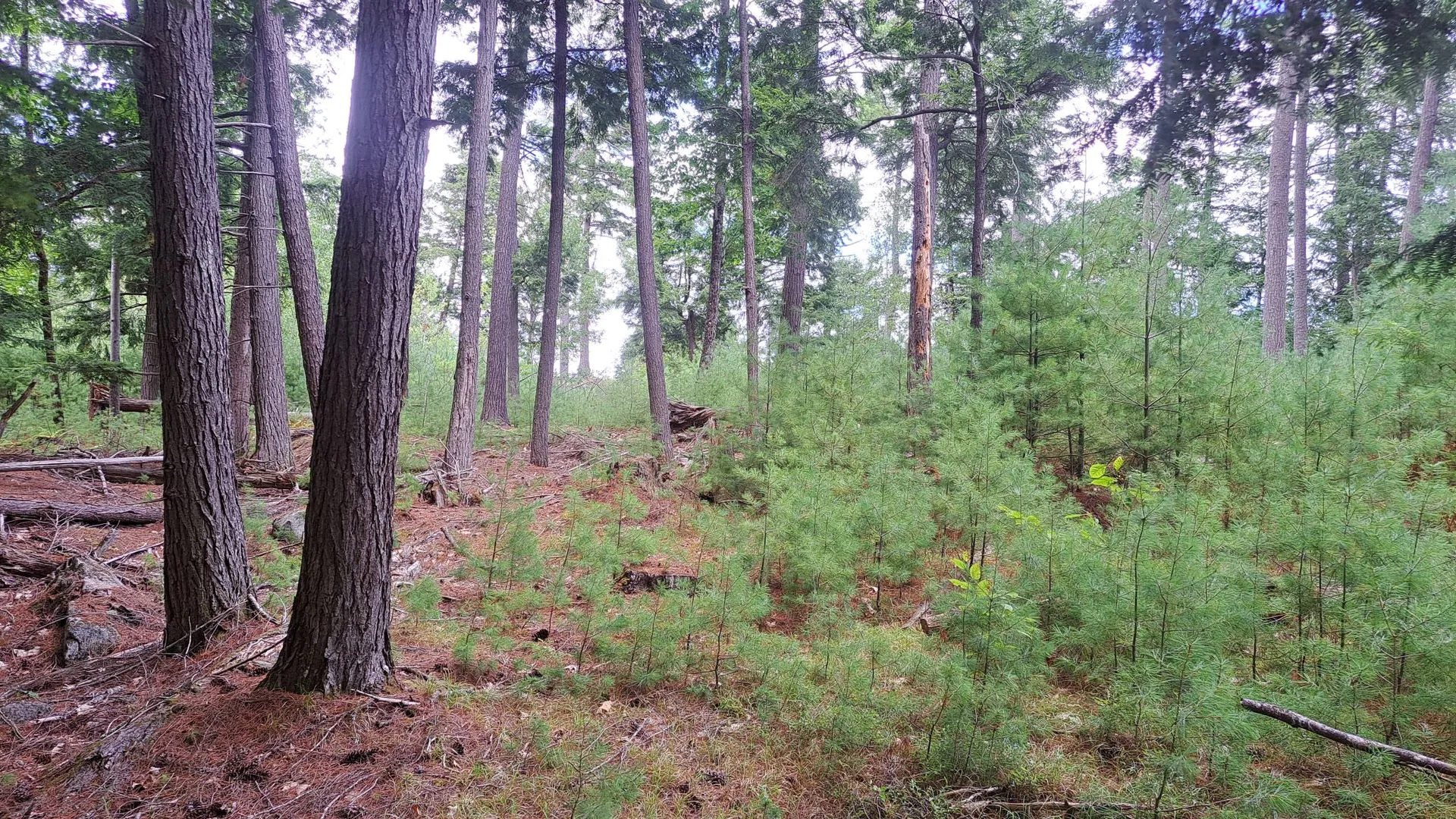Property at State Route 28, Warrensburg, NY 12885 25