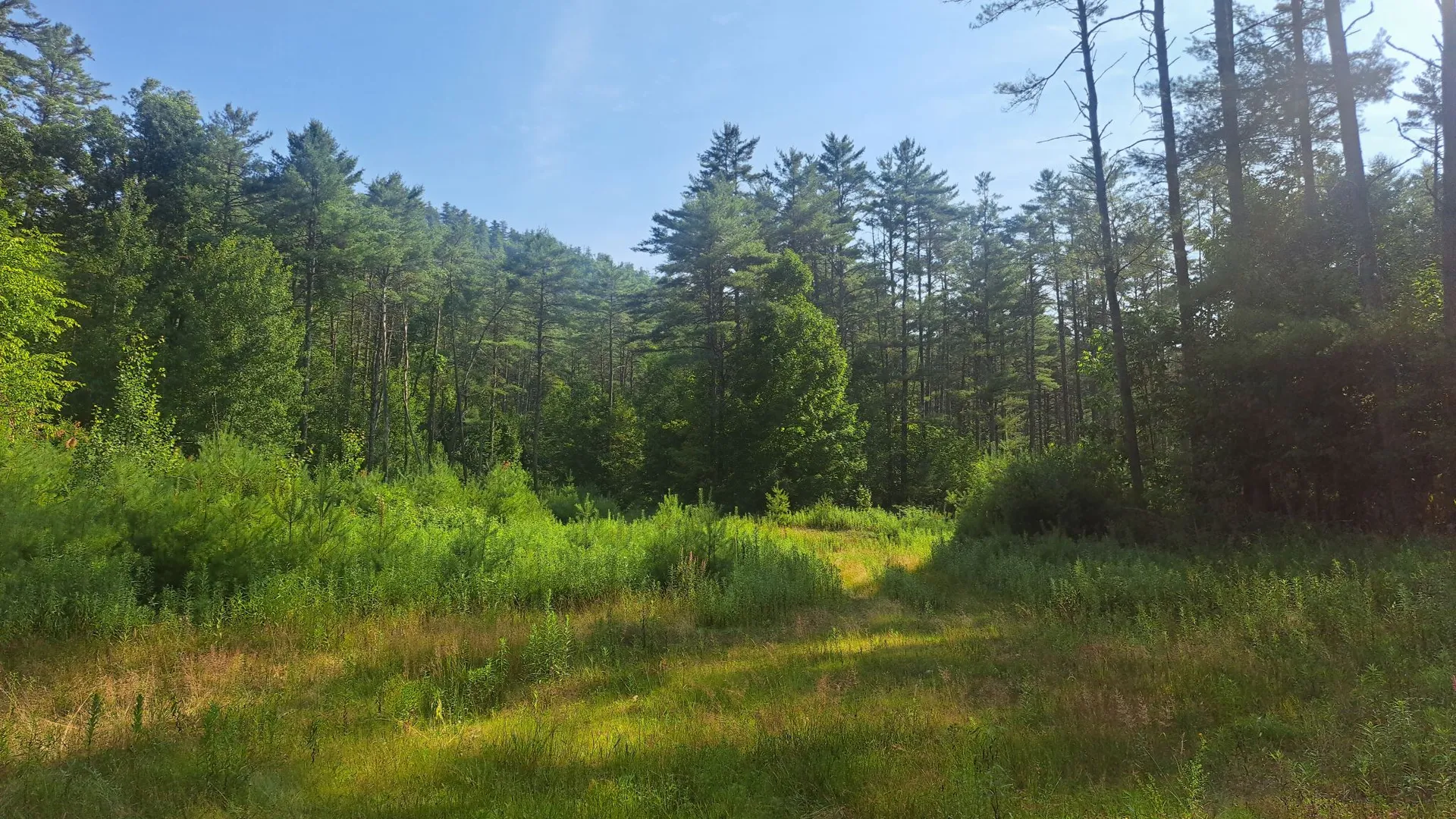 Property at State Route 28, Warrensburg, NY 12885 8