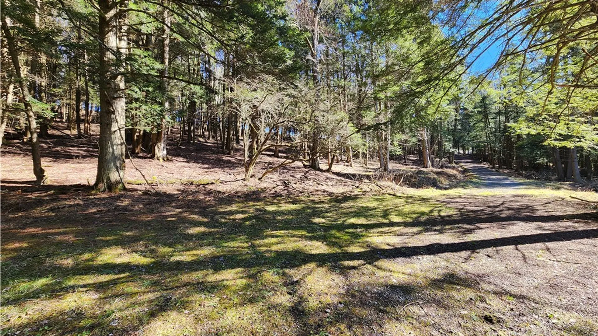 Property at 147 Buck Road, Otsego, NY 13337 11