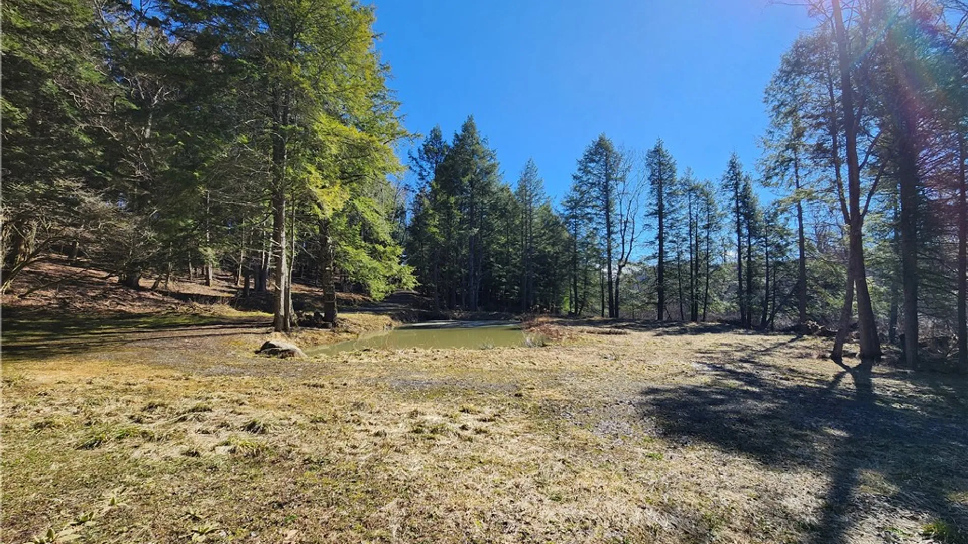 Property at 147 Buck Road, Otsego, NY 13337 12