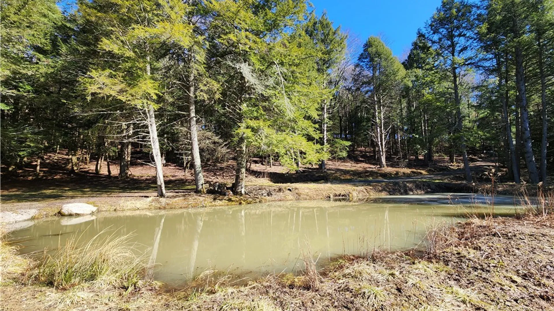 Property at 147 Buck Road, Otsego, NY 13337 13